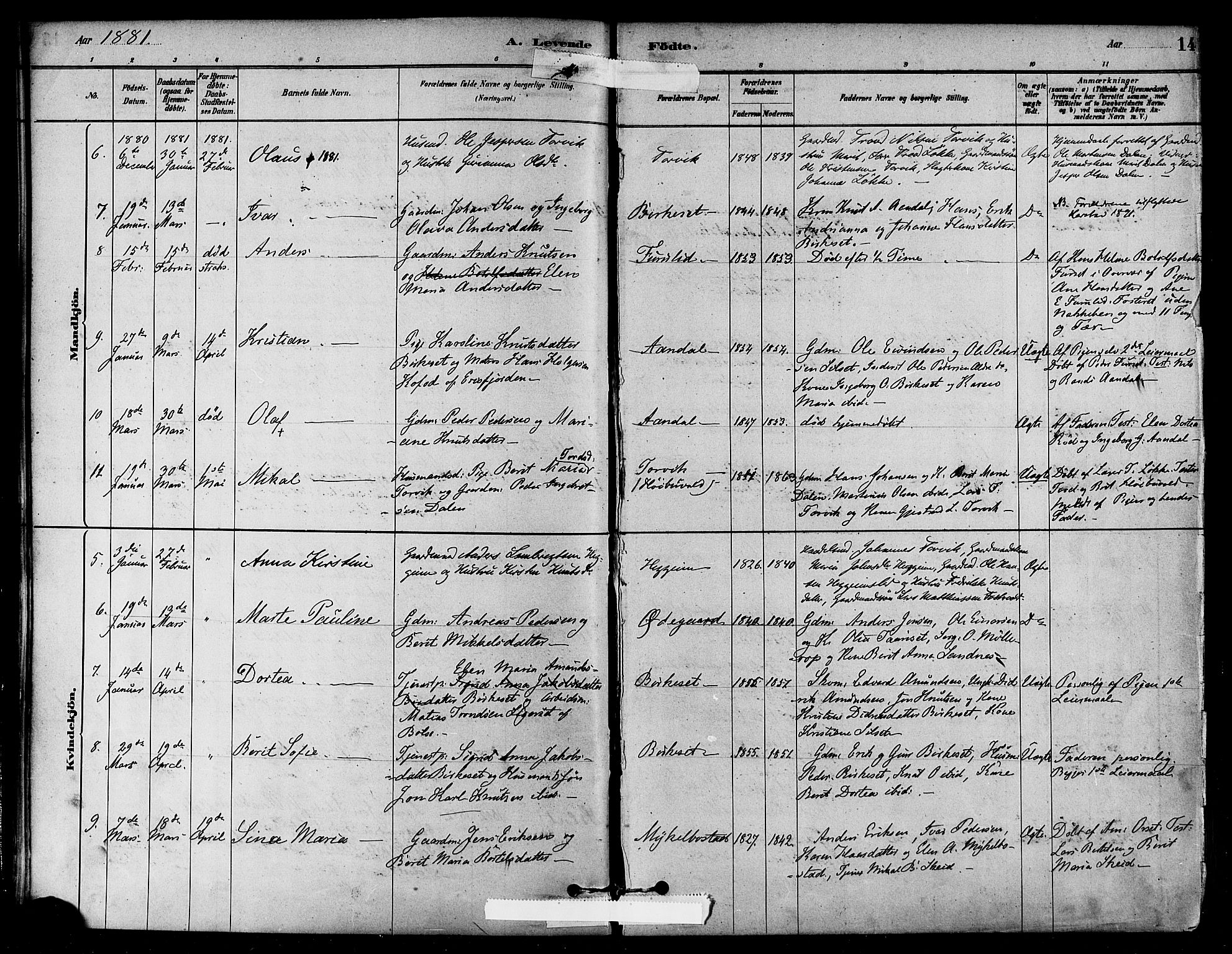 Ministerialprotokoller, klokkerbøker og fødselsregistre - Møre og Romsdal, AV/SAT-A-1454/584/L0967: Parish register (official) no. 584A07, 1879-1894, p. 14