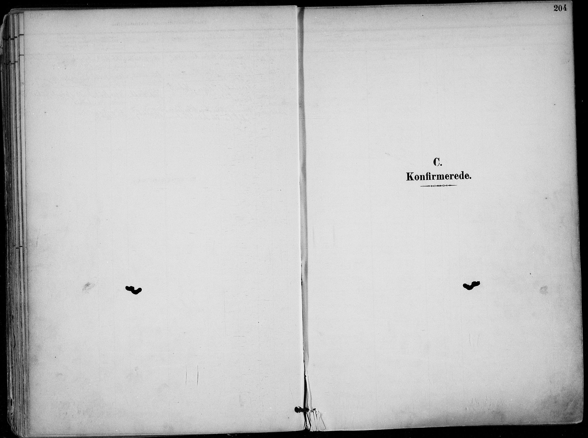 Skien kirkebøker, SAKO/A-302/F/Fa/L0010: Parish register (official) no. 10, 1891-1899, p. 204