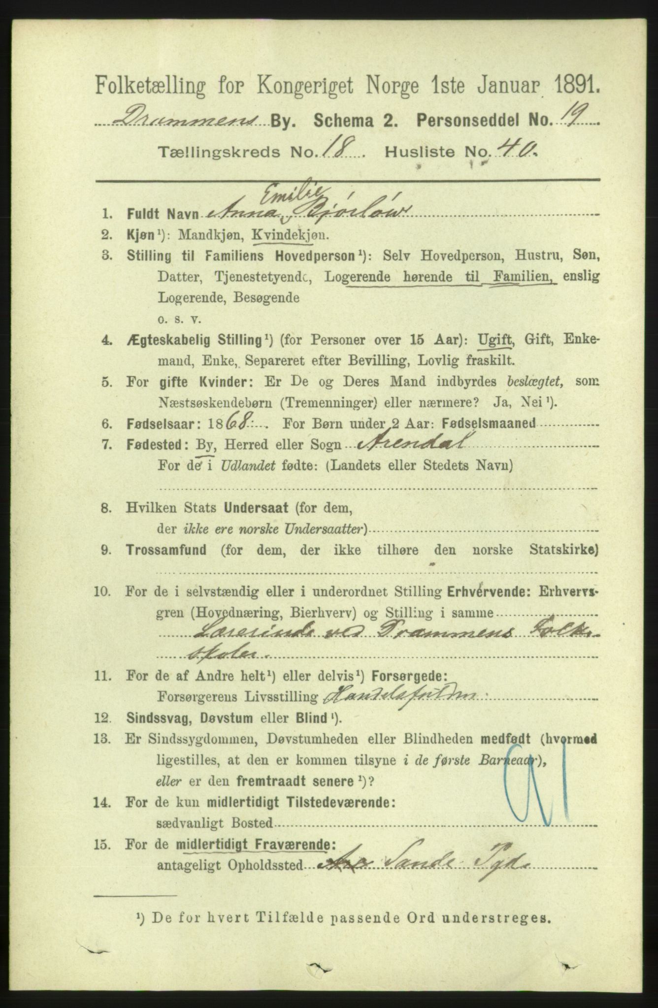 RA, 1891 census for 0602 Drammen, 1891, p. 11998