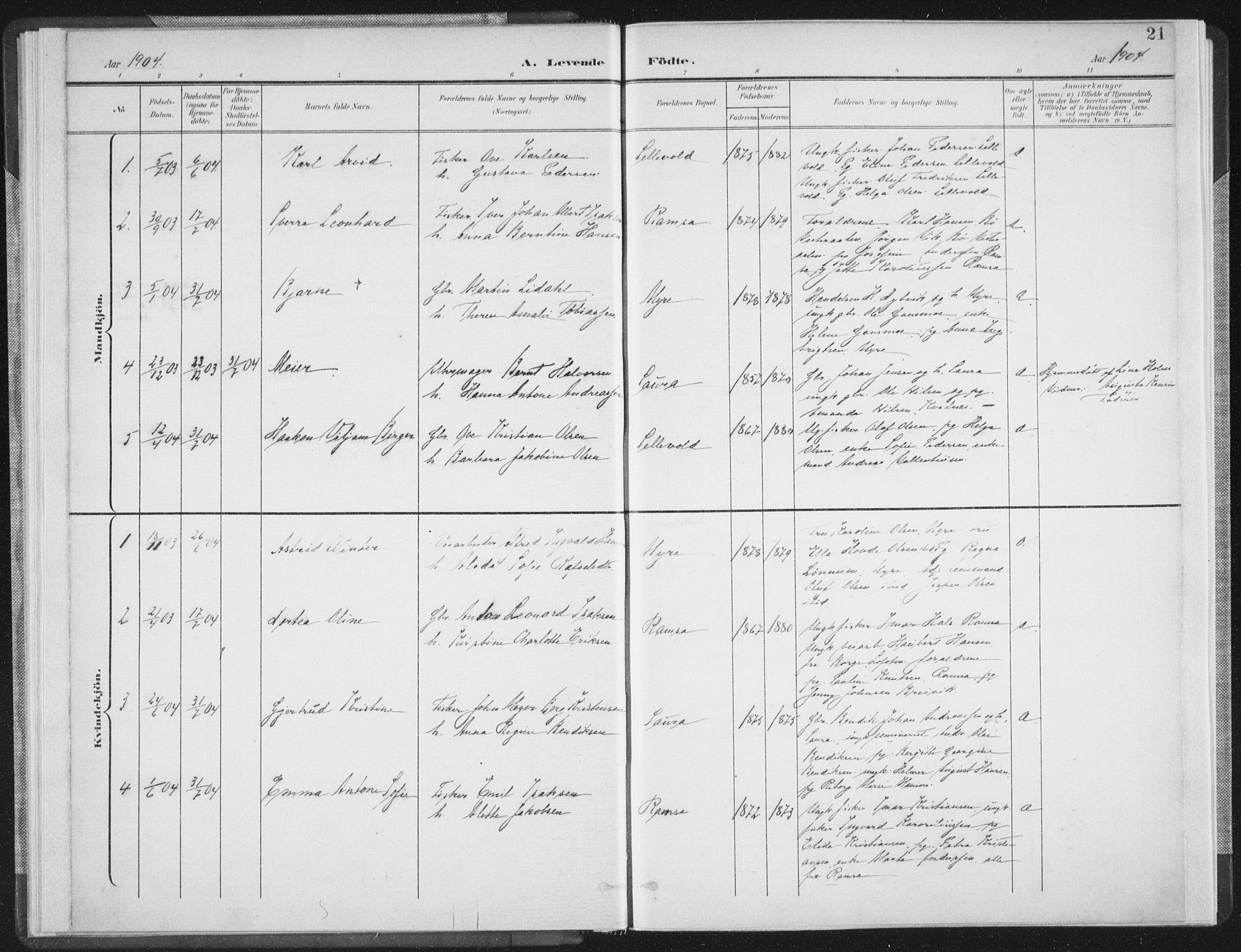Ministerialprotokoller, klokkerbøker og fødselsregistre - Nordland, SAT/A-1459/897/L1400: Parish register (official) no. 897A07, 1897-1908, p. 21
