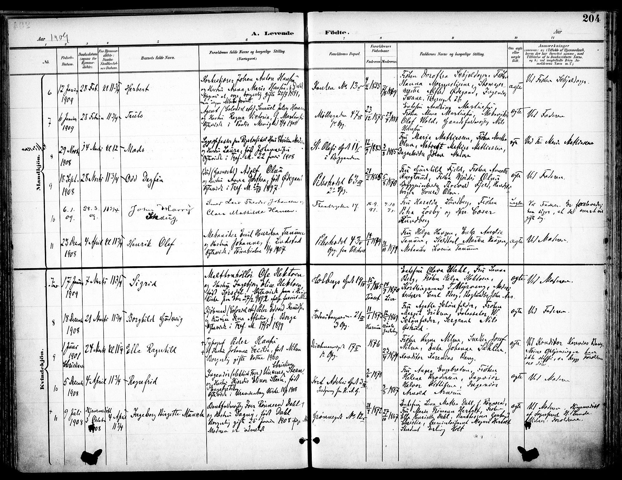 Trefoldighet prestekontor Kirkebøker, SAO/A-10882/F/Fa/L0007: Parish register (official) no. I 7, 1900-1914, p. 204