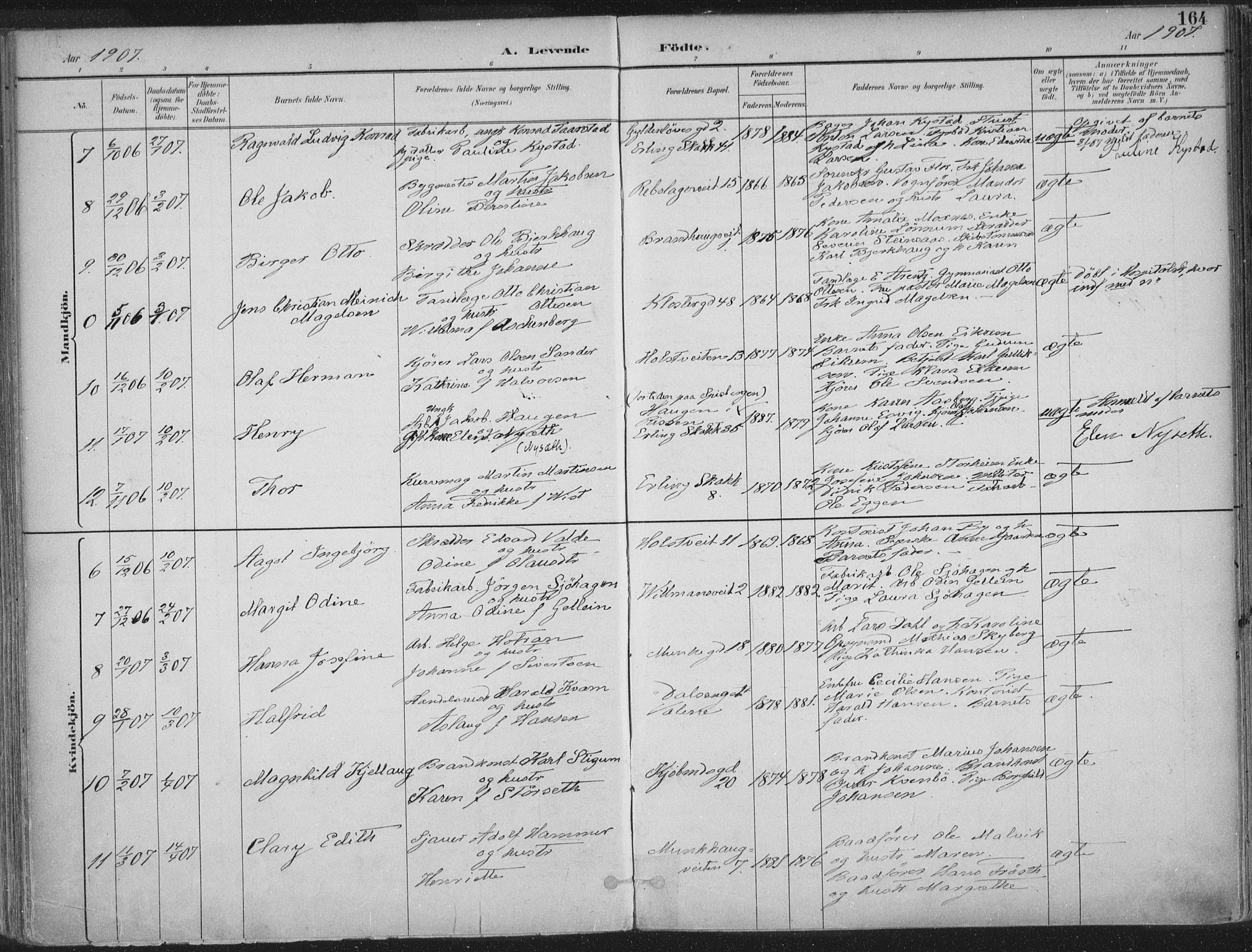 Ministerialprotokoller, klokkerbøker og fødselsregistre - Sør-Trøndelag, SAT/A-1456/601/L0062: Parish register (official) no. 601A30, 1891-1911, p. 164