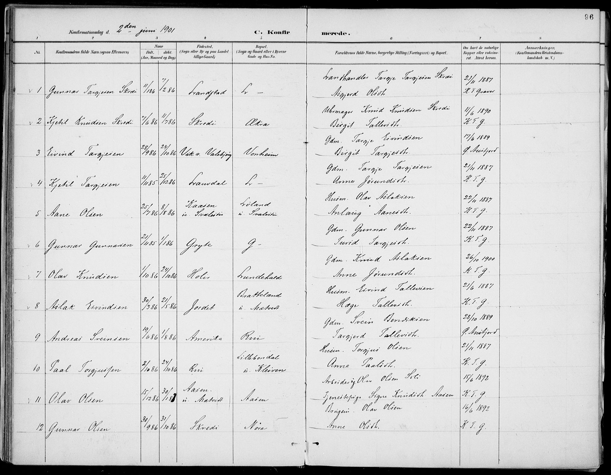 Fyresdal kirkebøker, SAKO/A-263/F/Fa/L0007: Parish register (official) no. I 7, 1887-1914, p. 96