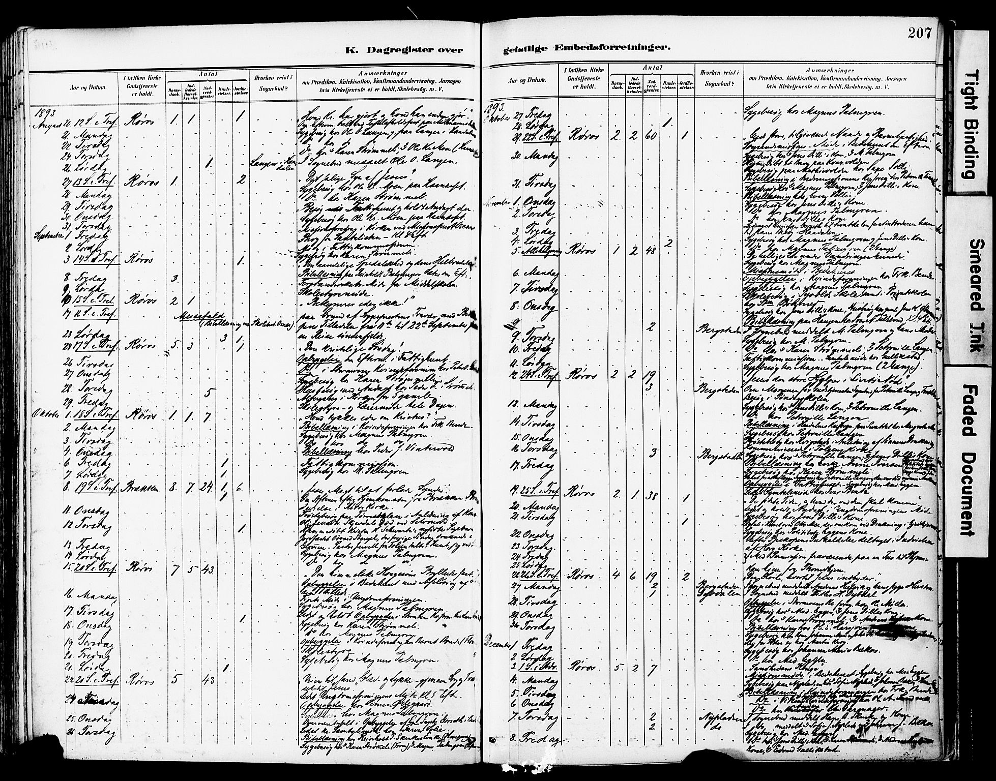 Ministerialprotokoller, klokkerbøker og fødselsregistre - Sør-Trøndelag, AV/SAT-A-1456/681/L0935: Parish register (official) no. 681A13, 1890-1898, p. 207