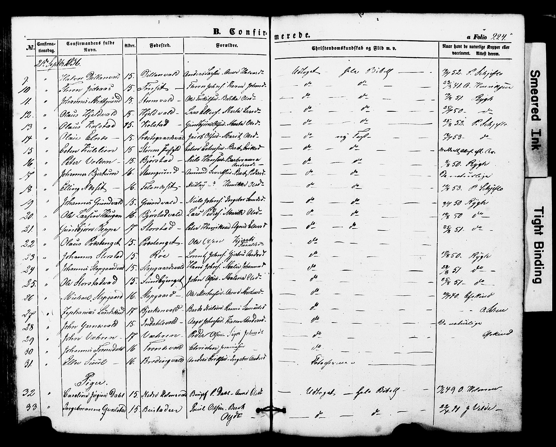 Ministerialprotokoller, klokkerbøker og fødselsregistre - Nord-Trøndelag, SAT/A-1458/724/L0268: Parish register (copy) no. 724C04, 1846-1878, p. 224
