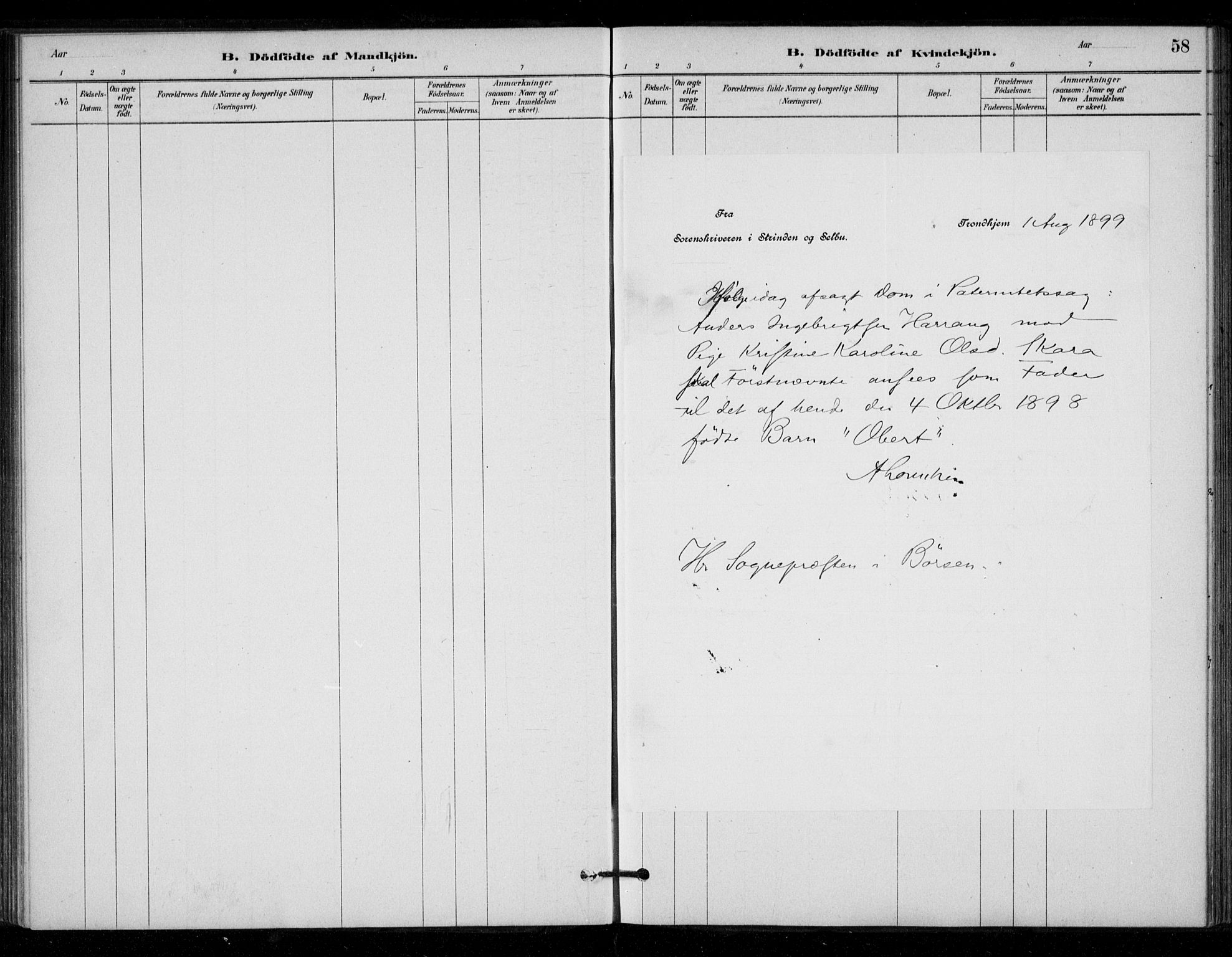 Ministerialprotokoller, klokkerbøker og fødselsregistre - Sør-Trøndelag, SAT/A-1456/670/L0836: Parish register (official) no. 670A01, 1879-1904, p. 58