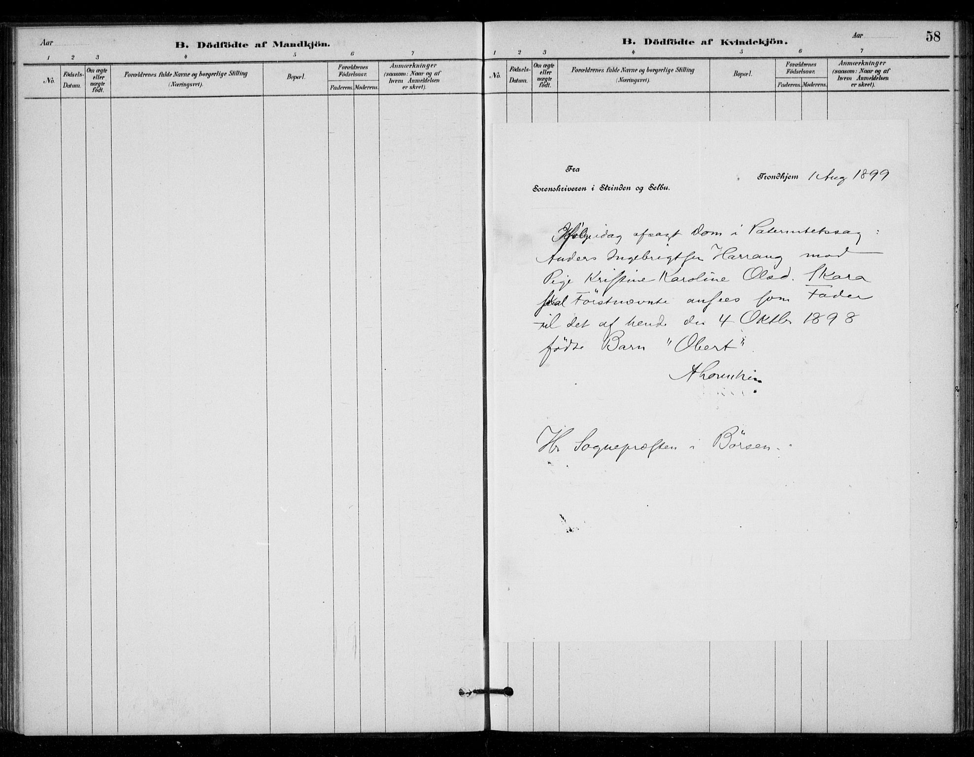 Ministerialprotokoller, klokkerbøker og fødselsregistre - Sør-Trøndelag, AV/SAT-A-1456/670/L0836: Parish register (official) no. 670A01, 1879-1904, p. 58