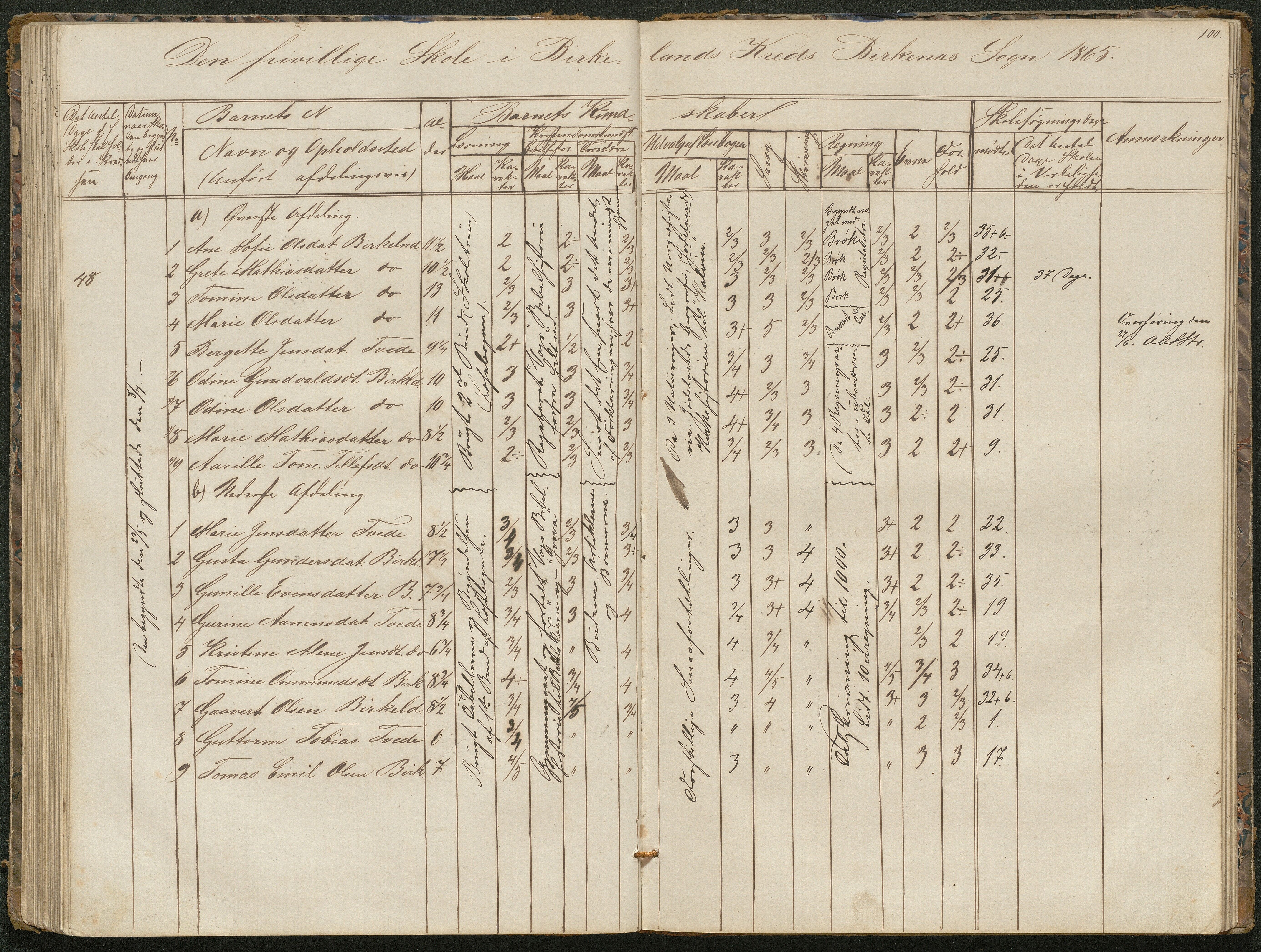 Birkenes kommune, Birkenes krets/Birkeland folkeskole frem til 1991, AAKS/KA0928-550a_91/F02/L0001: Skoleprotokoll, 1862-1896, p. 100