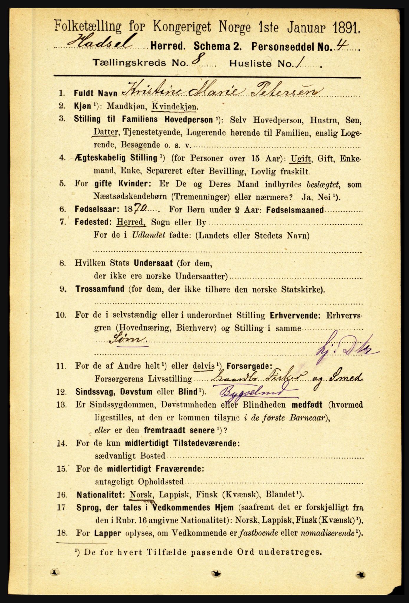 RA, 1891 census for 1866 Hadsel, 1891, p. 3580