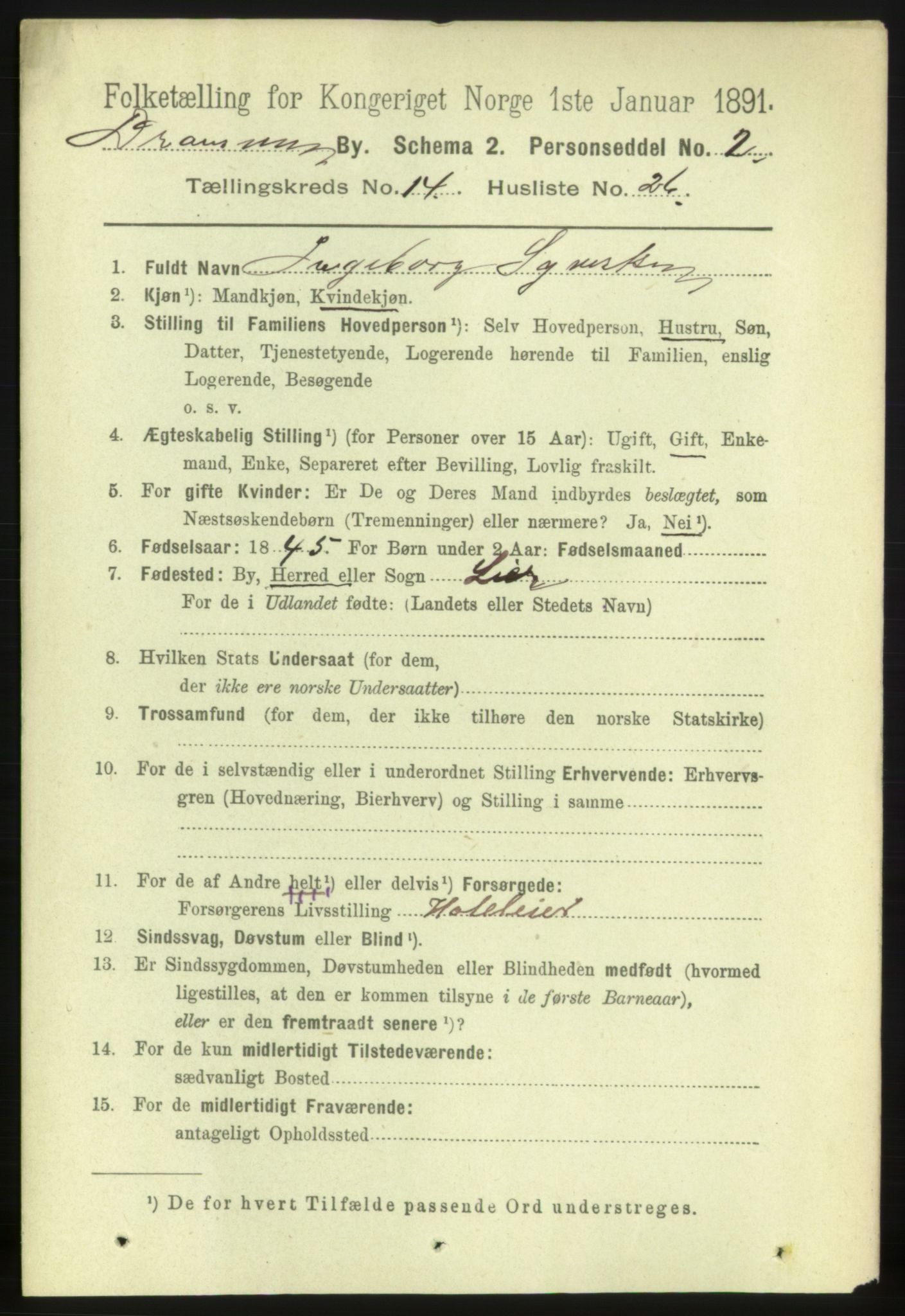 RA, 1891 census for 0602 Drammen, 1891, p. 10377