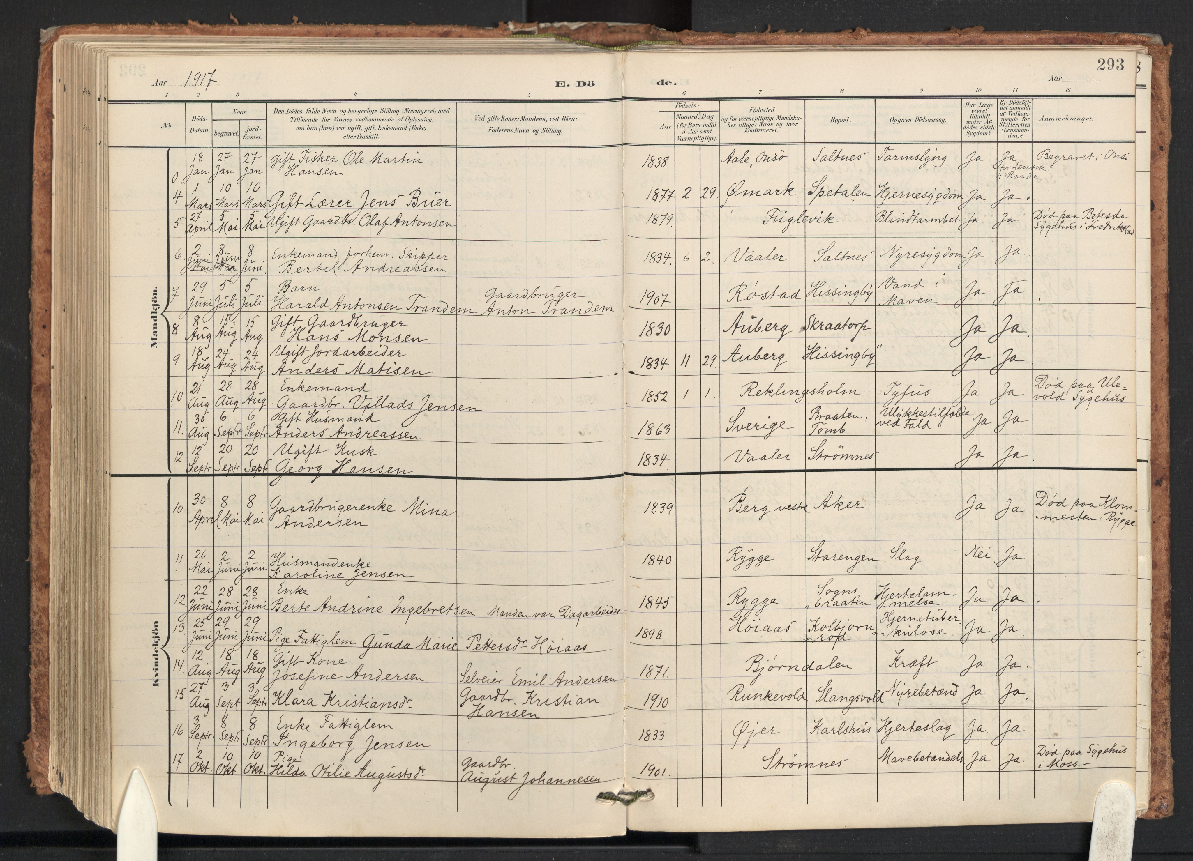 Råde prestekontor kirkebøker, AV/SAO-A-2009/F/Fa/L0008: Parish register (official) no. 8, 1903-1924, p. 293