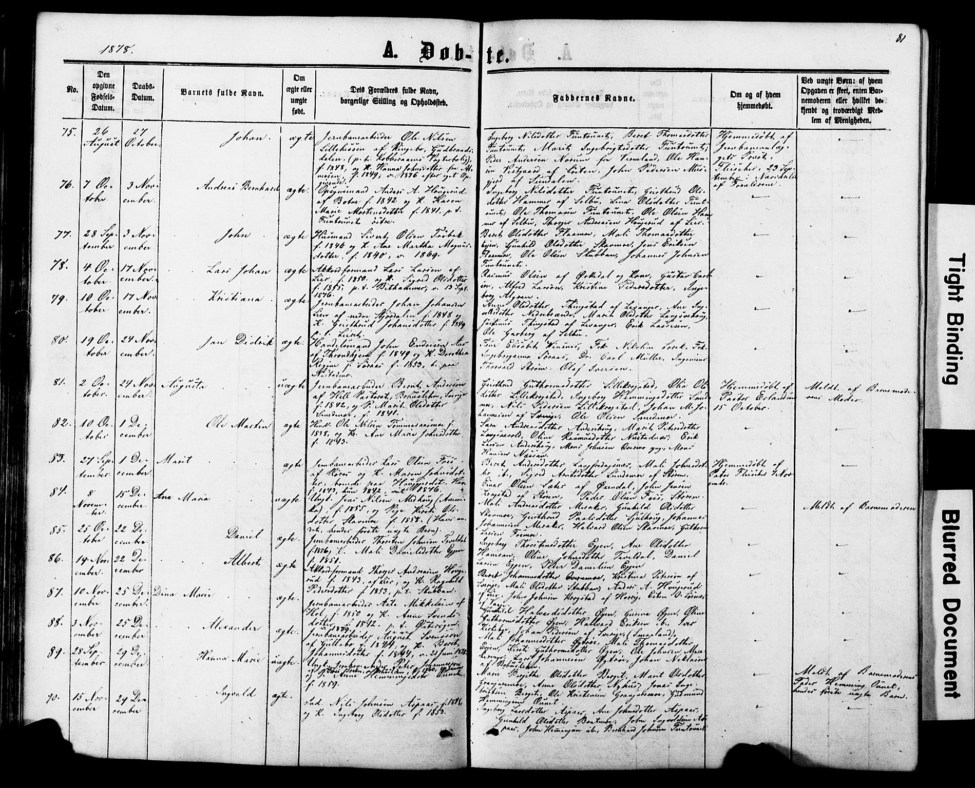 Ministerialprotokoller, klokkerbøker og fødselsregistre - Nord-Trøndelag, SAT/A-1458/706/L0049: Parish register (copy) no. 706C01, 1864-1895, p. 81