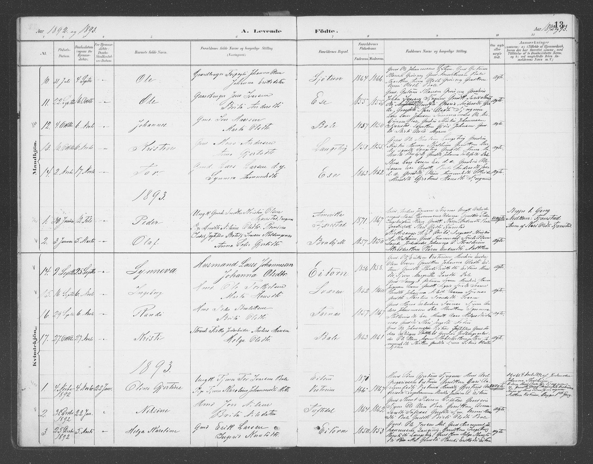 Balestrand sokneprestembete, SAB/A-79601/H/Haa/Haab/L0001: Parish register (official) no. B  1, 1889-1910, p. 13