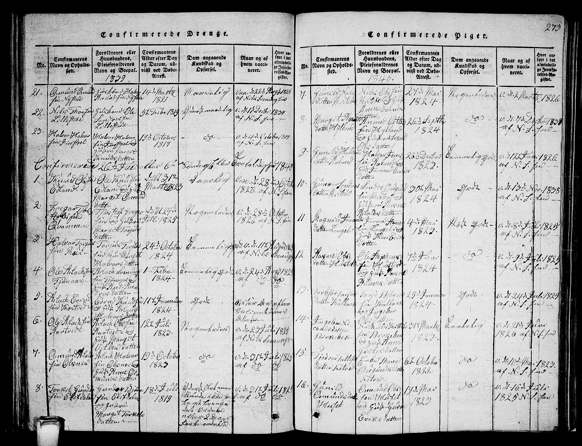 Vinje kirkebøker, SAKO/A-312/G/Ga/L0001: Parish register (copy) no. I 1, 1814-1843, p. 273