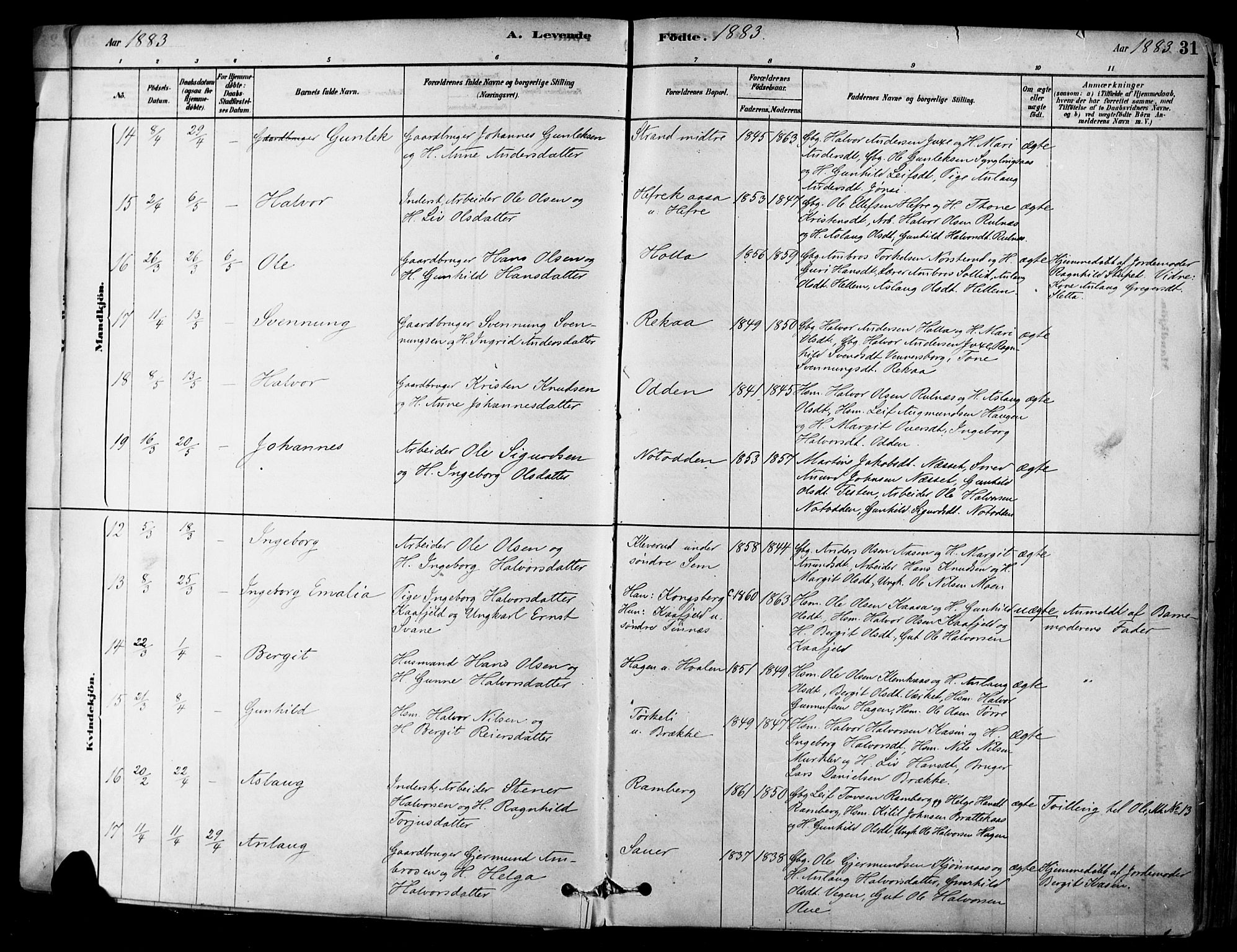 Heddal kirkebøker, AV/SAKO-A-268/F/Fa/L0008: Parish register (official) no. I 8, 1878-1903, p. 31