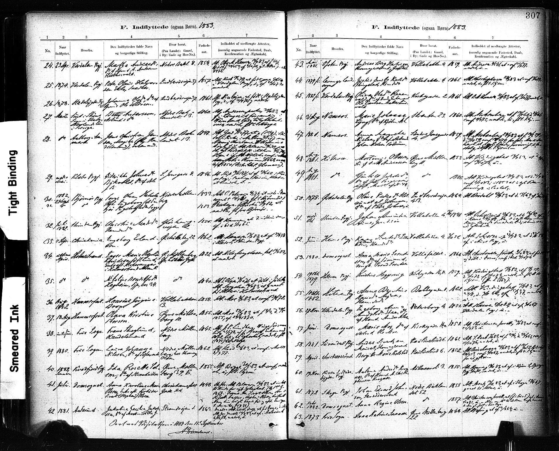Ministerialprotokoller, klokkerbøker og fødselsregistre - Sør-Trøndelag, SAT/A-1456/604/L0189: Parish register (official) no. 604A10, 1878-1892, p. 307
