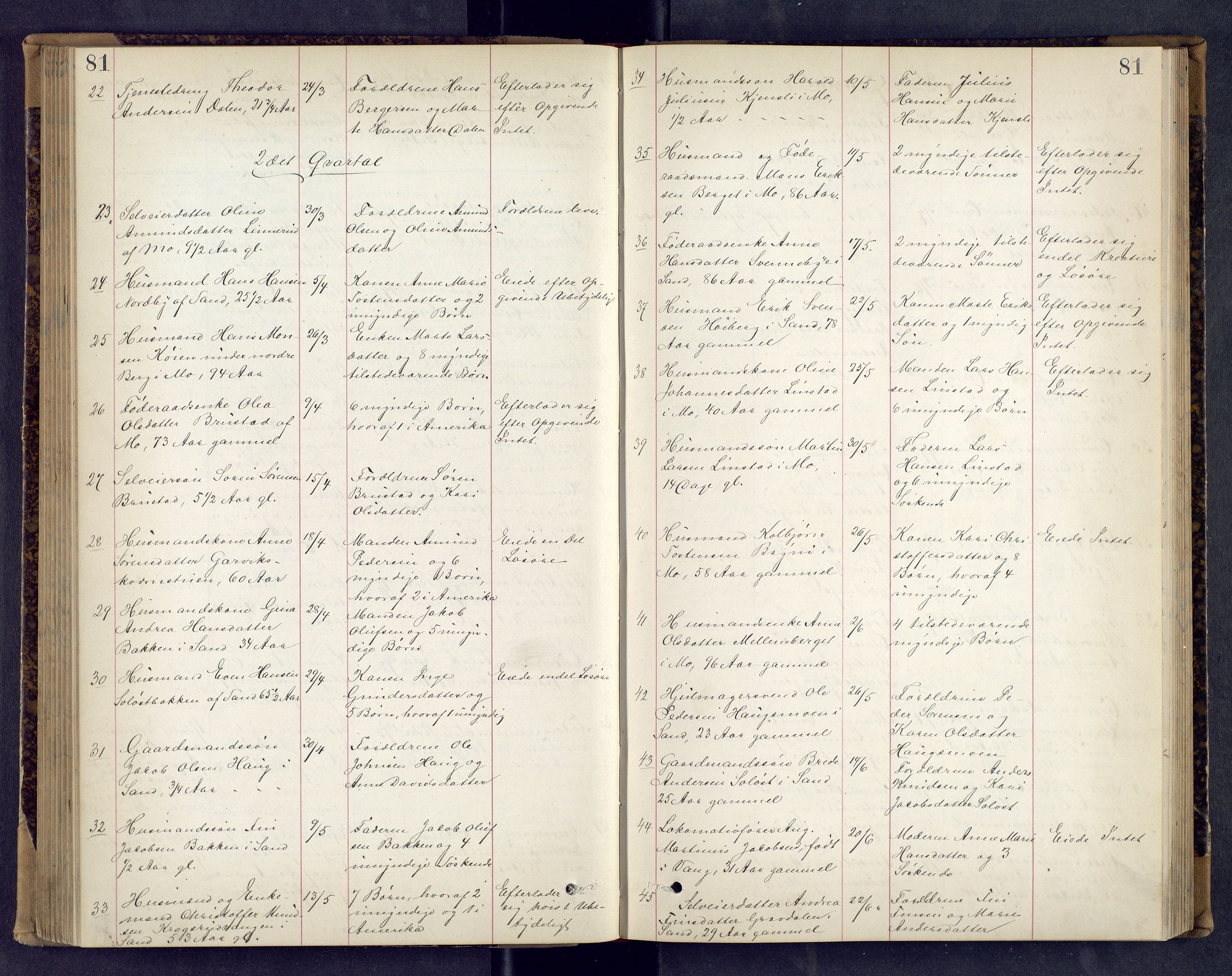 Vinger og Odal sorenskriveri, AV/SAH-TING-022/J/Jf/L0002: Dødsfallsprotokoll - Odal, 1881-1901, p. 81