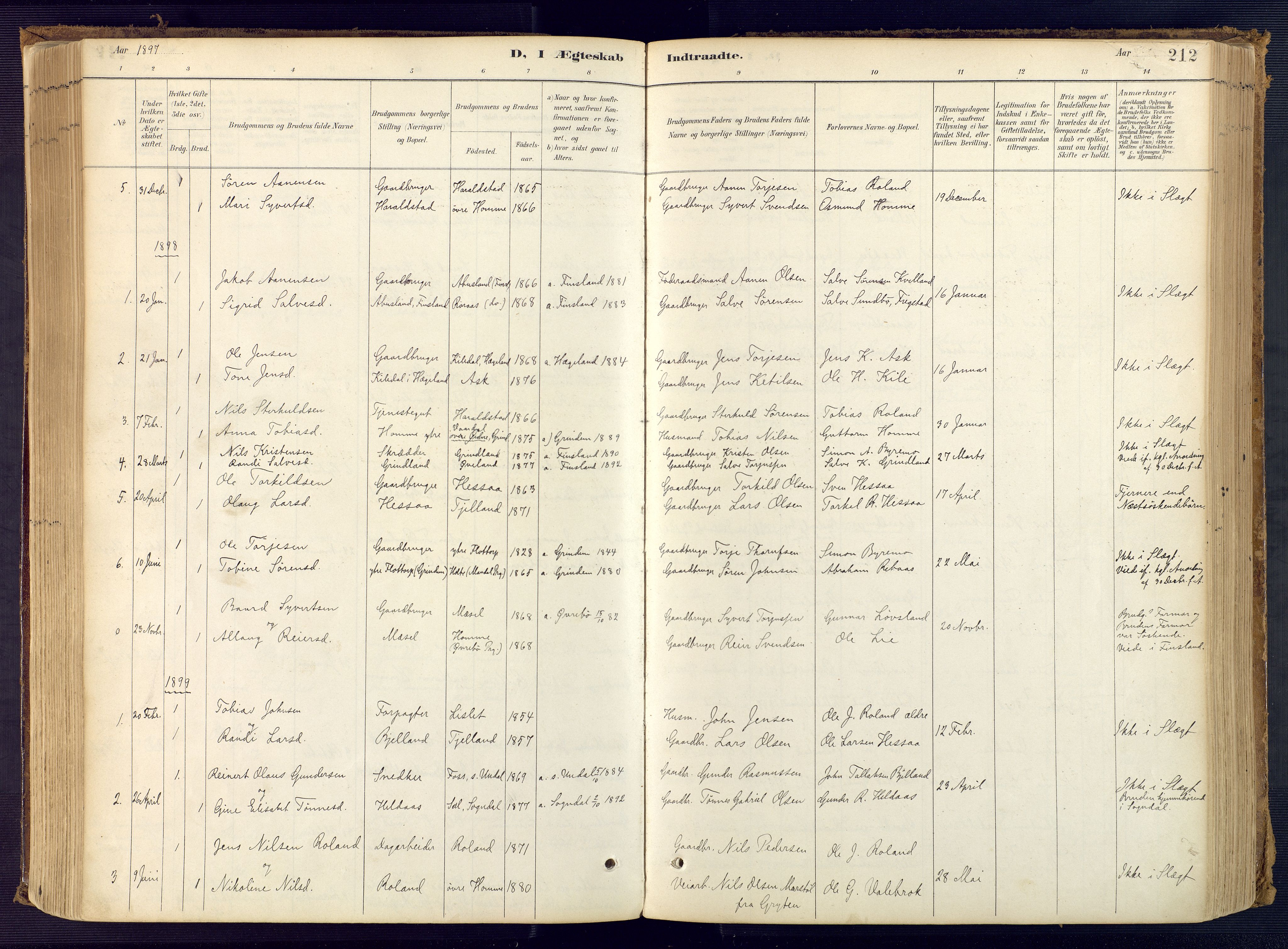 Bjelland sokneprestkontor, SAK/1111-0005/F/Fa/Faa/L0004: Parish register (official) no. A 4, 1887-1923, p. 212