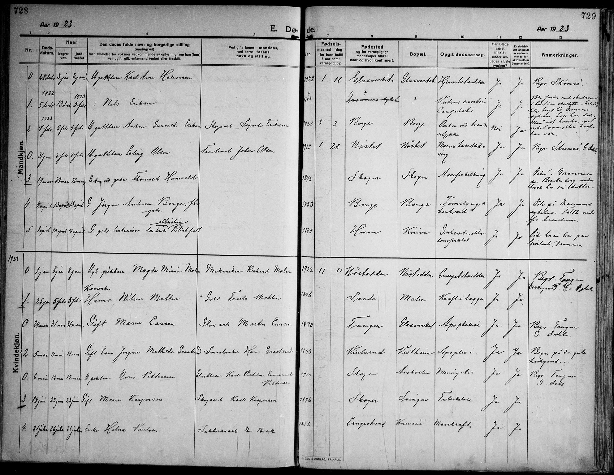 Skoger kirkebøker, AV/SAKO-A-59/F/Fa/L0007: Parish register (official) no. I 7, 1911-1936, p. 728-729