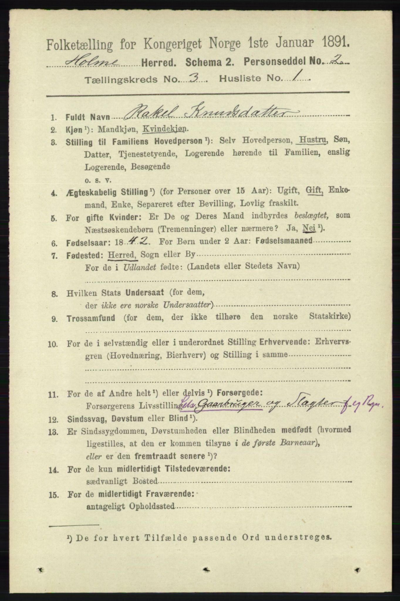 RA, 1891 census for 1020 Holum, 1891, p. 823