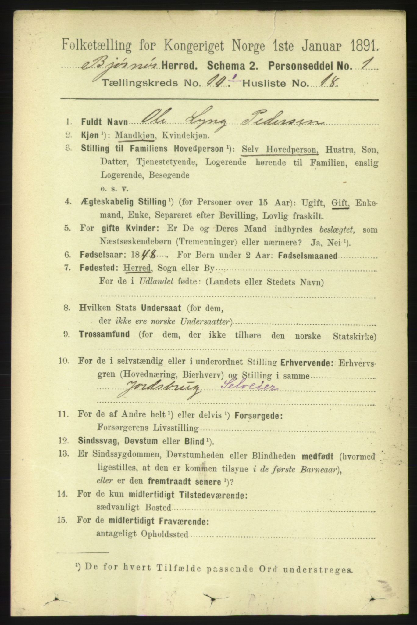 RA, 1891 census for 1632 Bjørnør, 1891, p. 4244