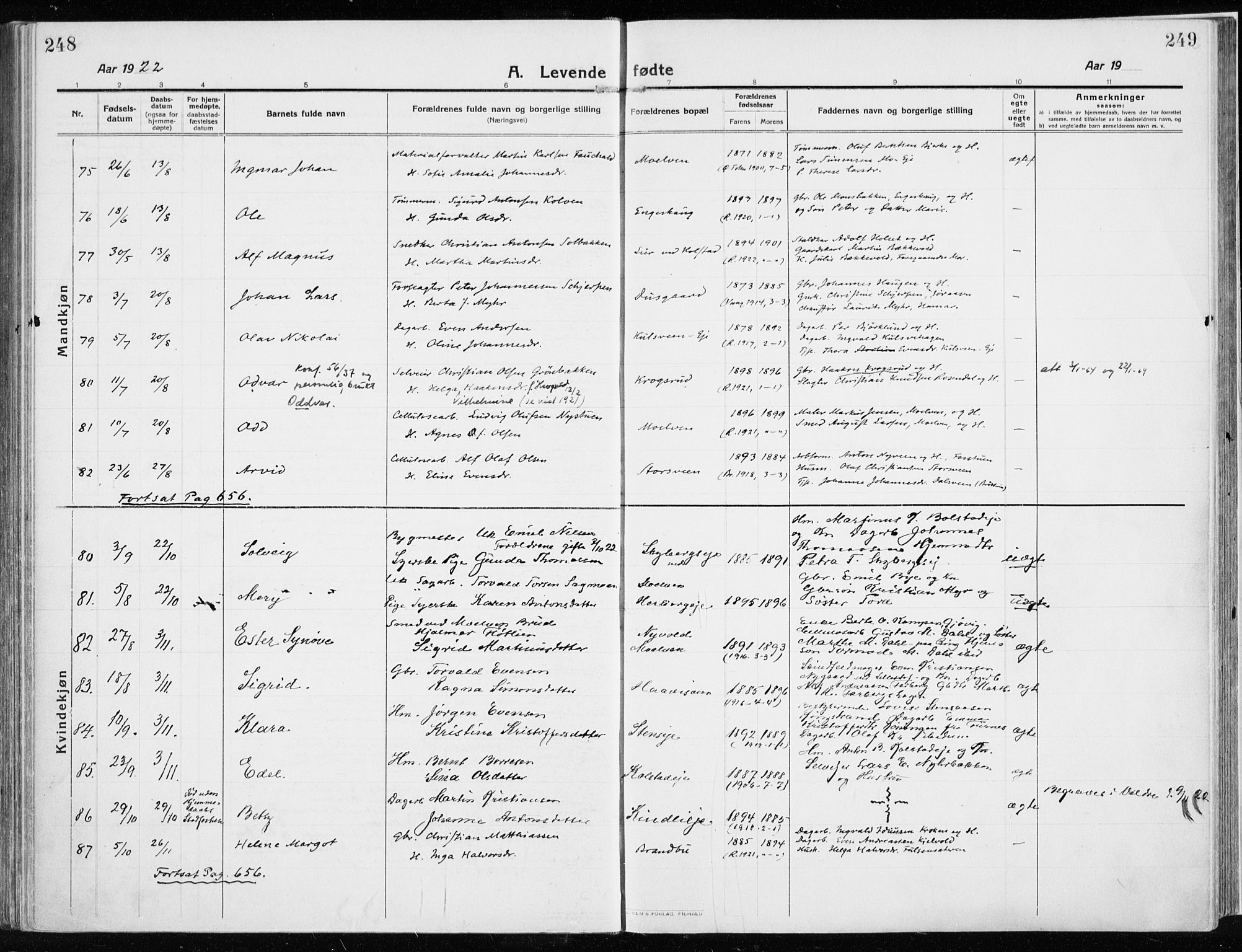 Ringsaker prestekontor, AV/SAH-PREST-014/K/Ka/L0020: Parish register (official) no. 20, 1913-1922, p. 248-249
