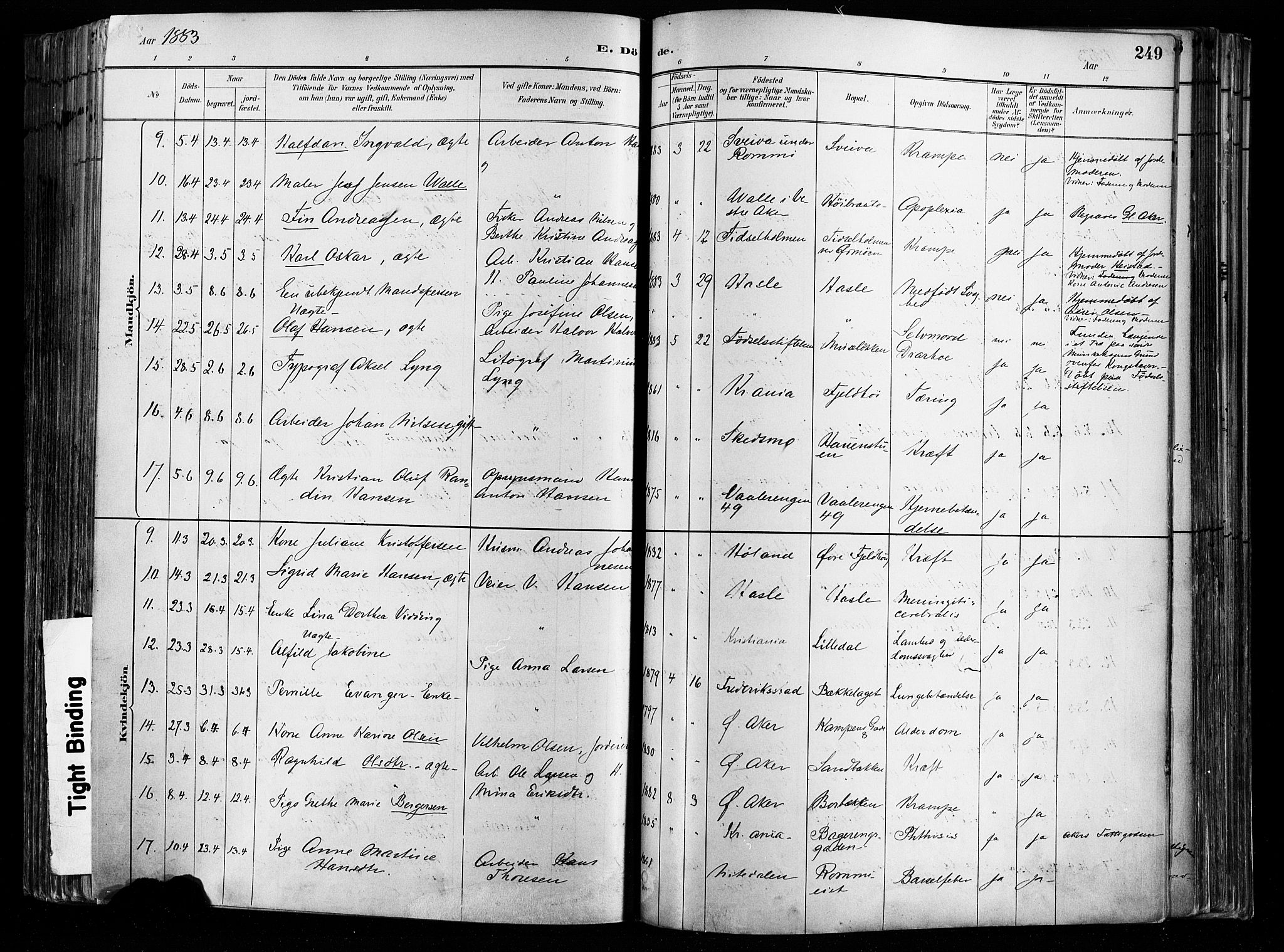 Østre Aker prestekontor Kirkebøker, AV/SAO-A-10840/F/Fa/L0008: Parish register (official) no. I 8, 1883-1894, p. 249