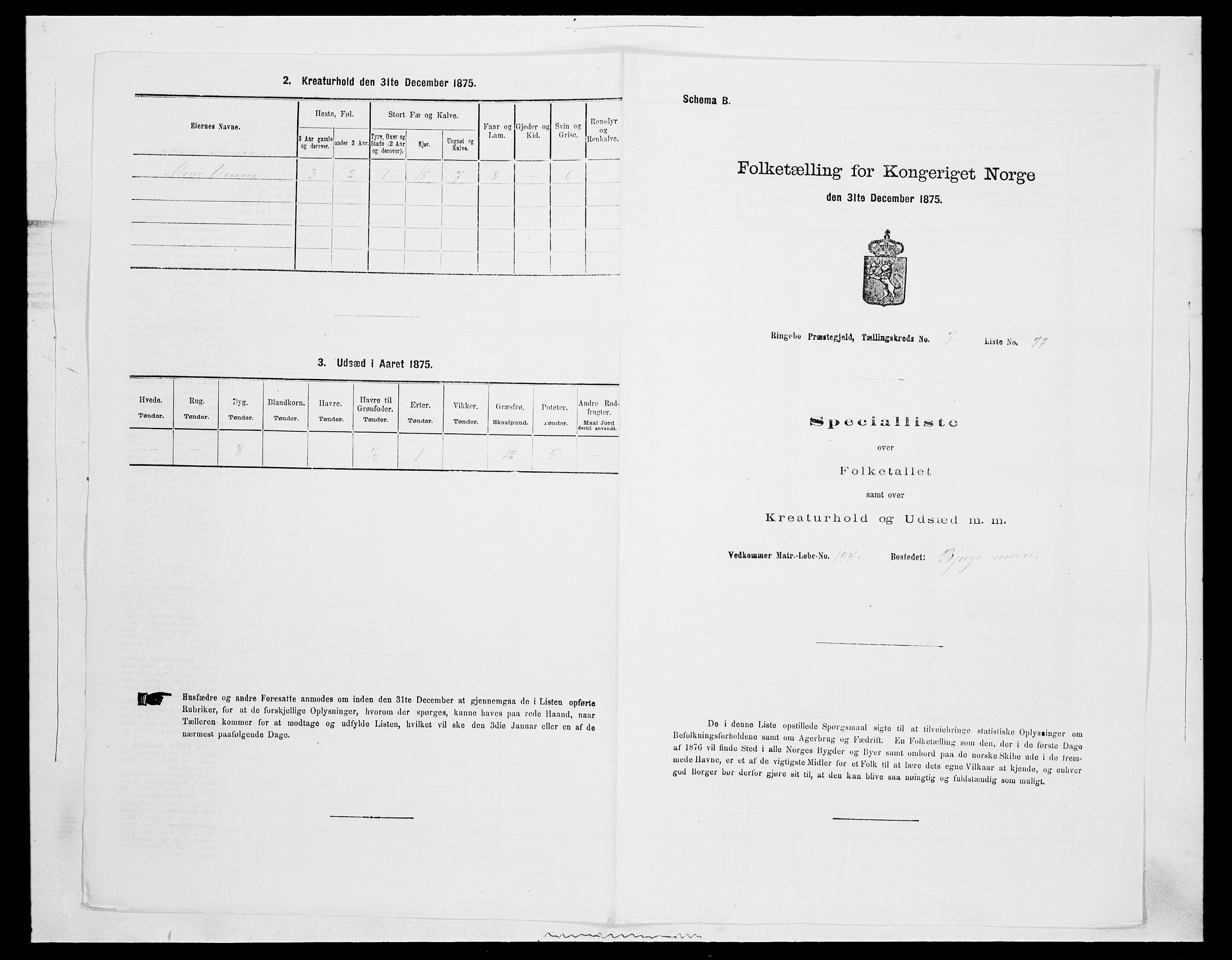 SAH, 1875 census for 0520P Ringebu, 1875, p. 1161