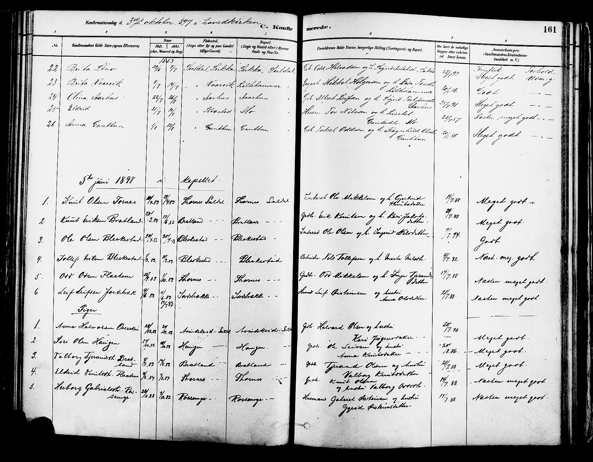 Suldal sokneprestkontor, AV/SAST-A-101845/01/IV/L0011: Parish register (official) no. A 11, 1878-1900, p. 161