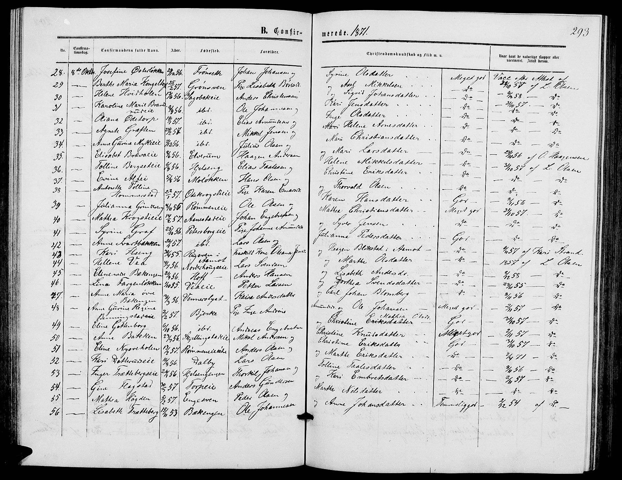 Løten prestekontor, SAH/PREST-022/L/La/L0004: Parish register (copy) no. 4, 1863-1877, p. 293