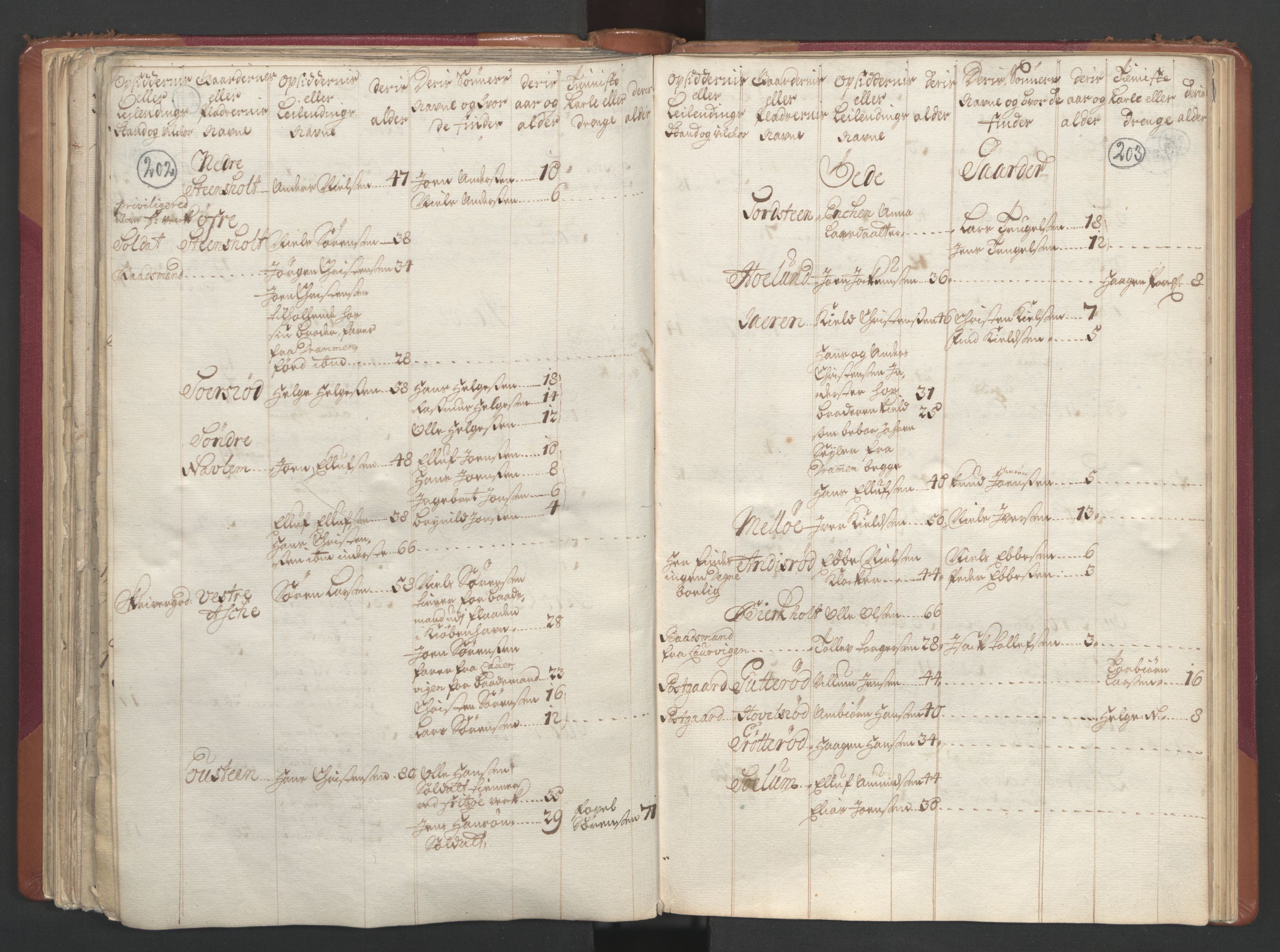 RA, Census (manntall) 1701, no. 2: Solør, Odal og Østerdal fogderi and Larvik grevskap, 1701, p. 202-203