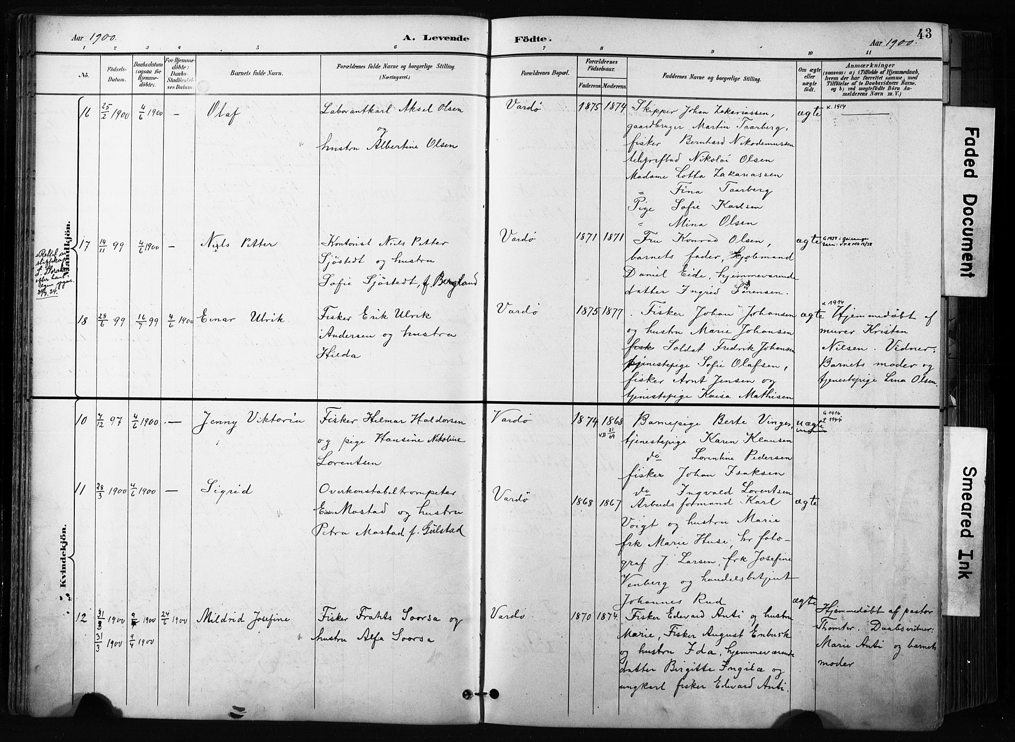 Vardø sokneprestkontor, AV/SATØ-S-1332/H/Ha/L0010kirke: Parish register (official) no. 10, 1895-1907, p. 43