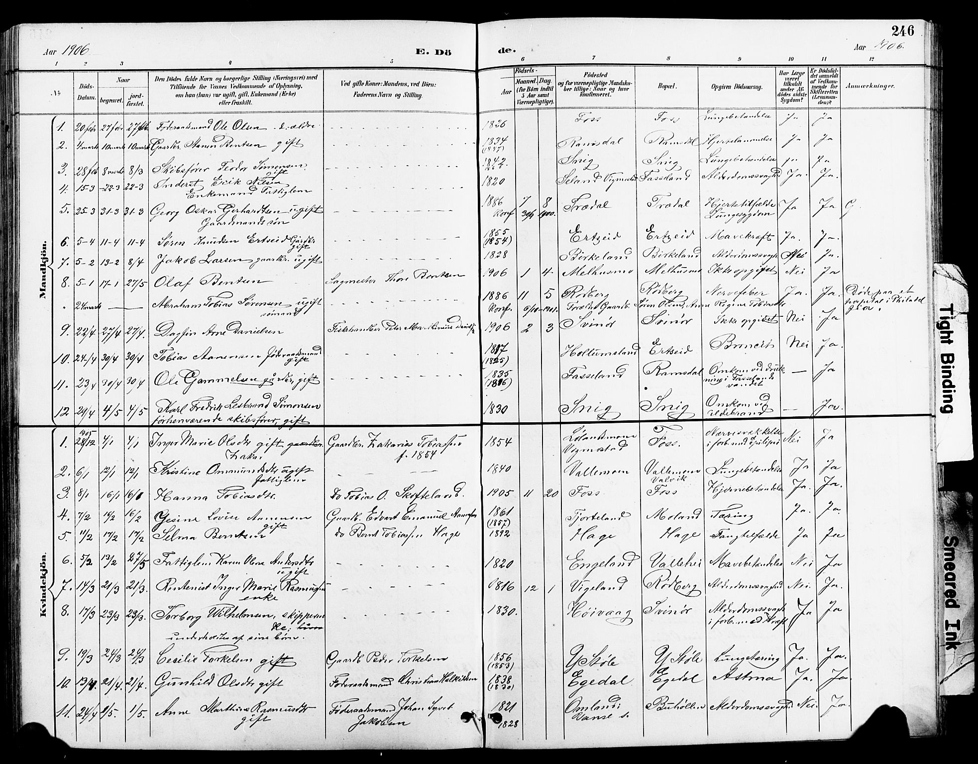 Sør-Audnedal sokneprestkontor, AV/SAK-1111-0039/F/Fb/Fbb/L0006: Parish register (copy) no. B 6, 1893-1915, p. 246