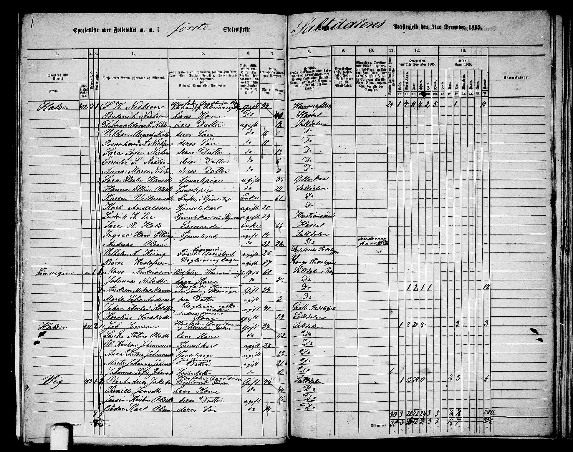 RA, 1865 census for Saltdal, 1865, p. 6