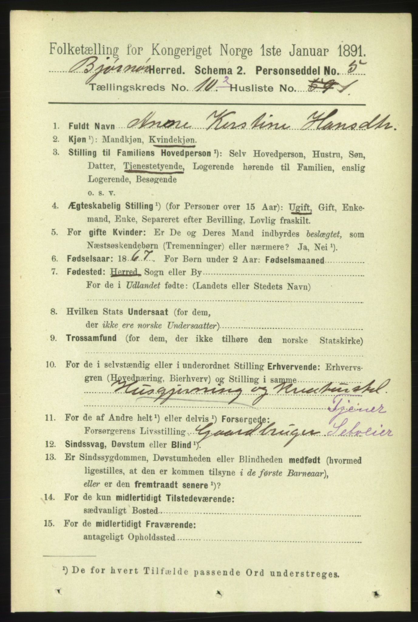 RA, 1891 census for 1632 Bjørnør, 1891, p. 4543