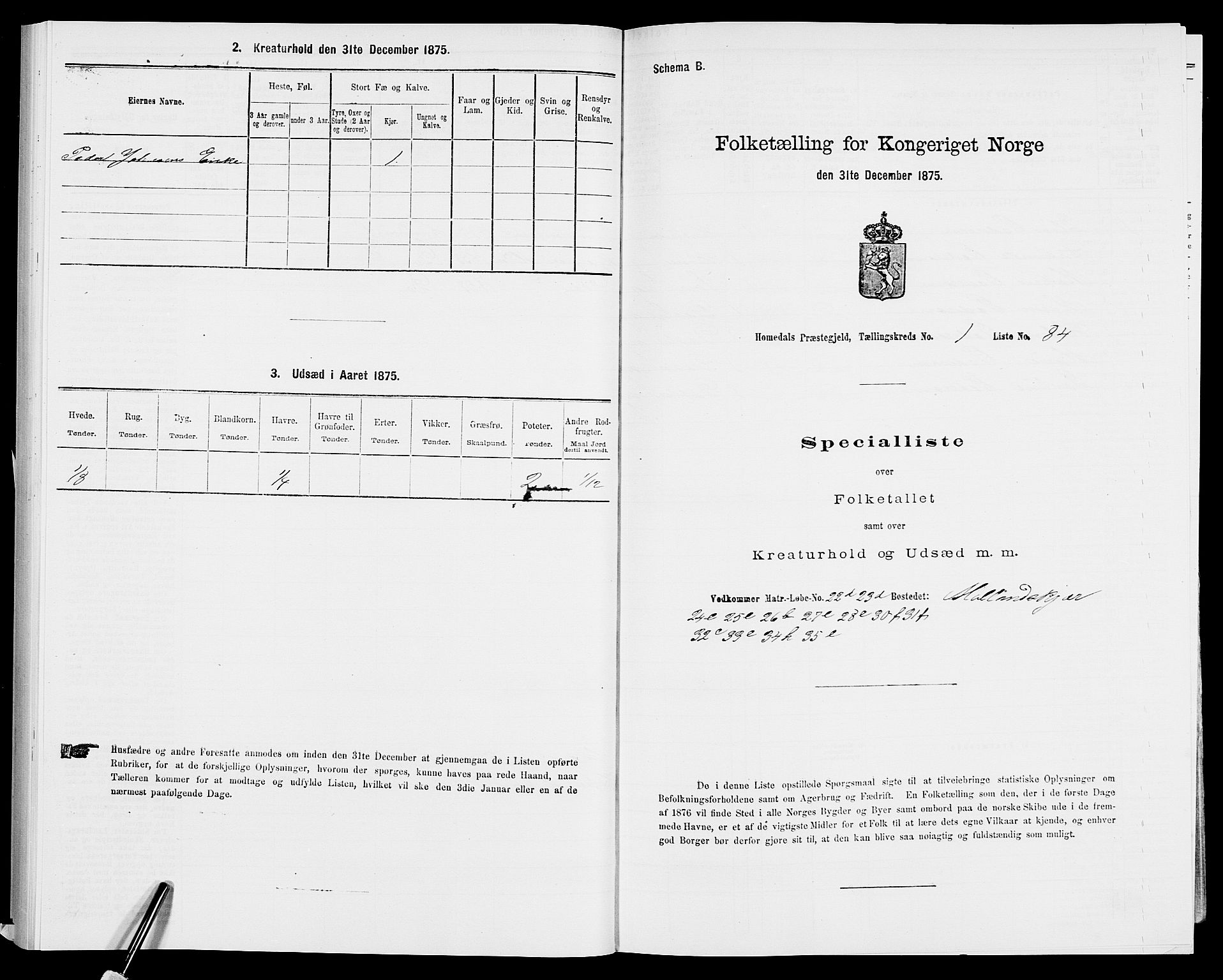 SAK, 1875 census for 0924P Homedal, 1875, p. 523