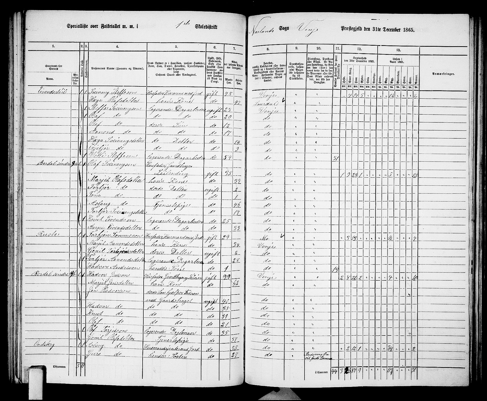 RA, 1865 census for Vinje, 1865, p. 11