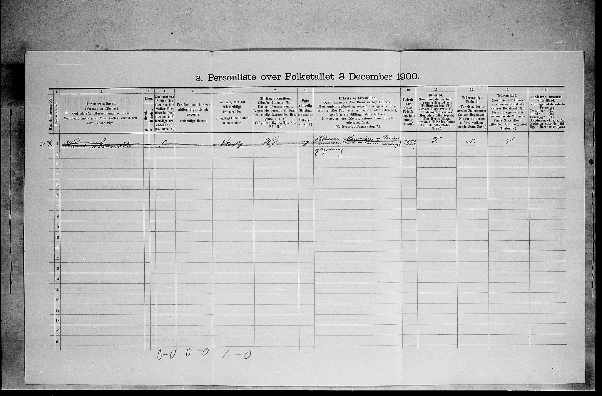 SAH, 1900 census for Elverum, 1900, p. 713