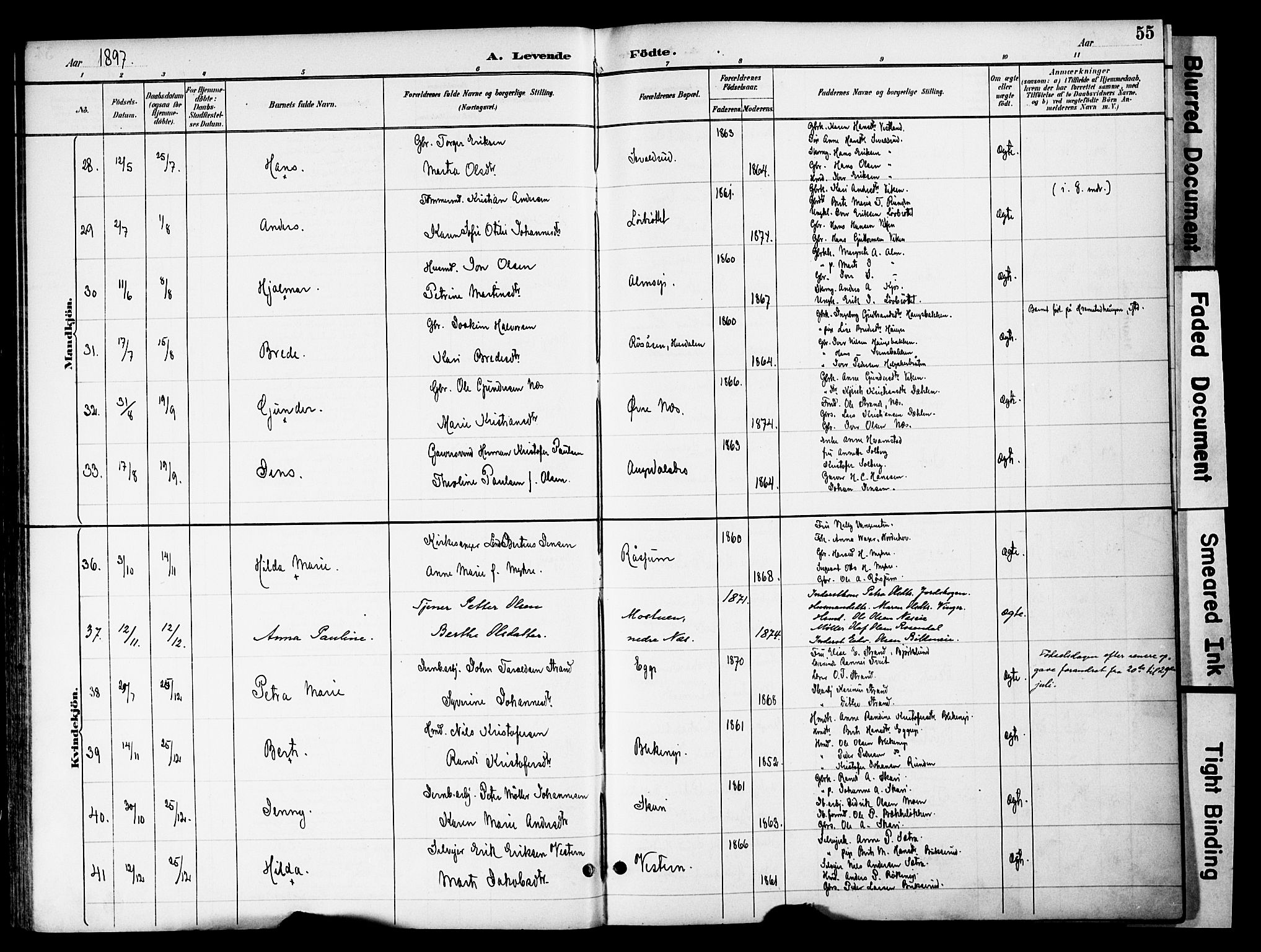 Gran prestekontor, SAH/PREST-112/H/Ha/Haa/L0020: Parish register (official) no. 20, 1889-1899, p. 55