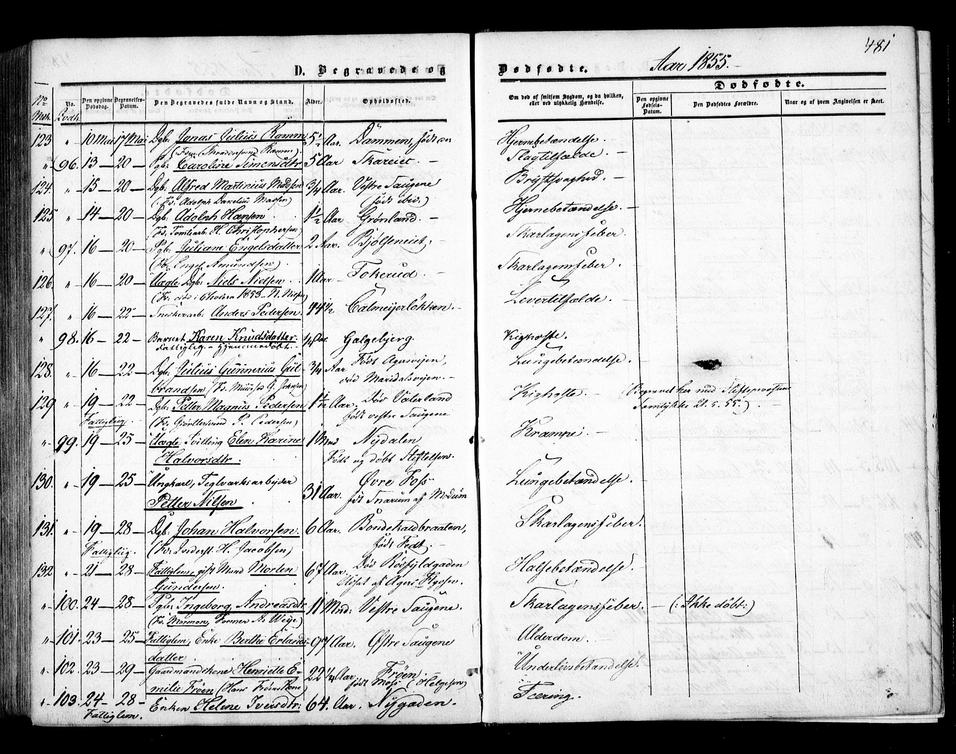 Aker prestekontor kirkebøker, SAO/A-10861/F/L0020: Parish register (official) no. 20, 1853-1857, p. 481