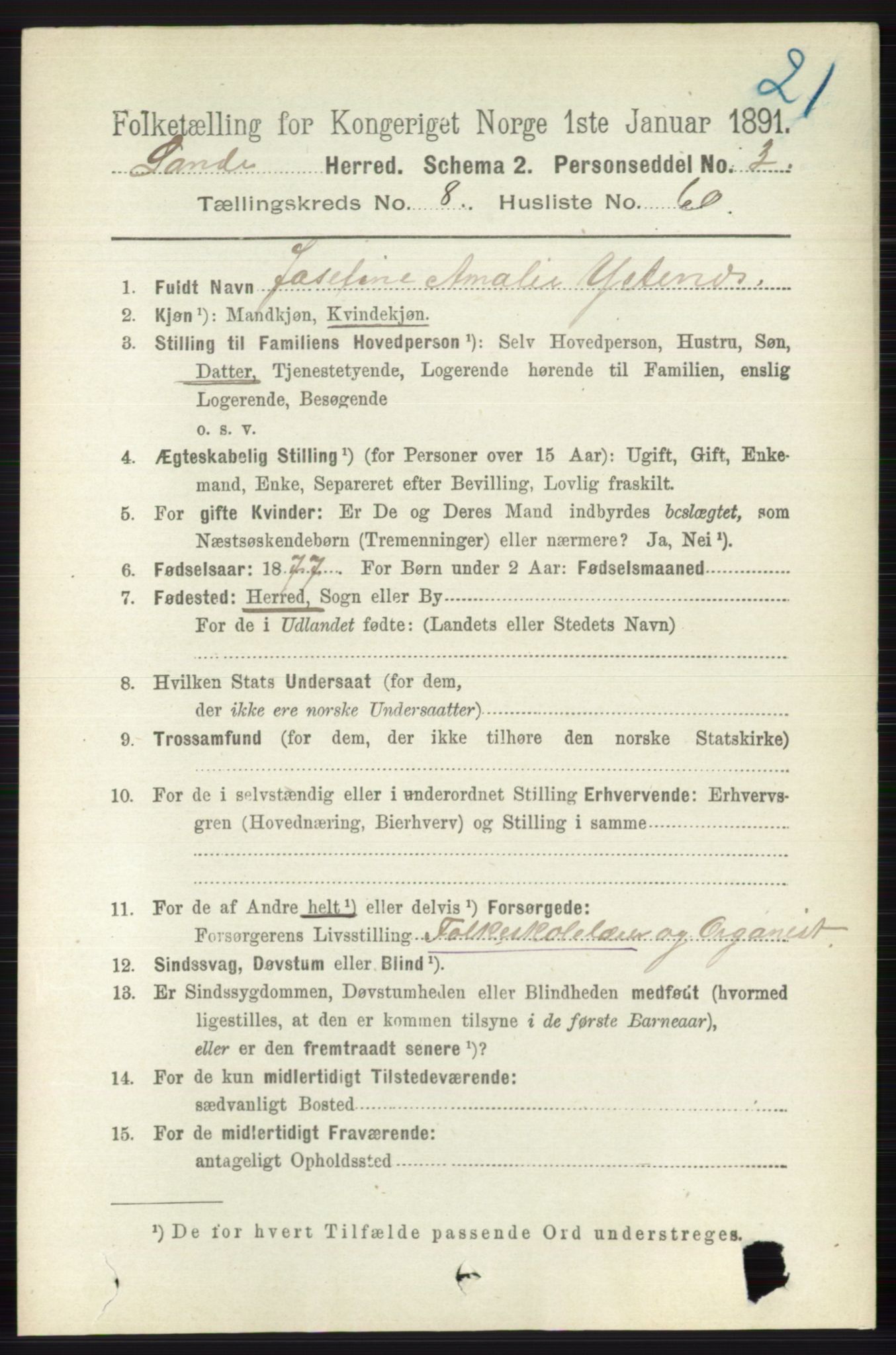 RA, 1891 census for 0713 Sande, 1891, p. 3836