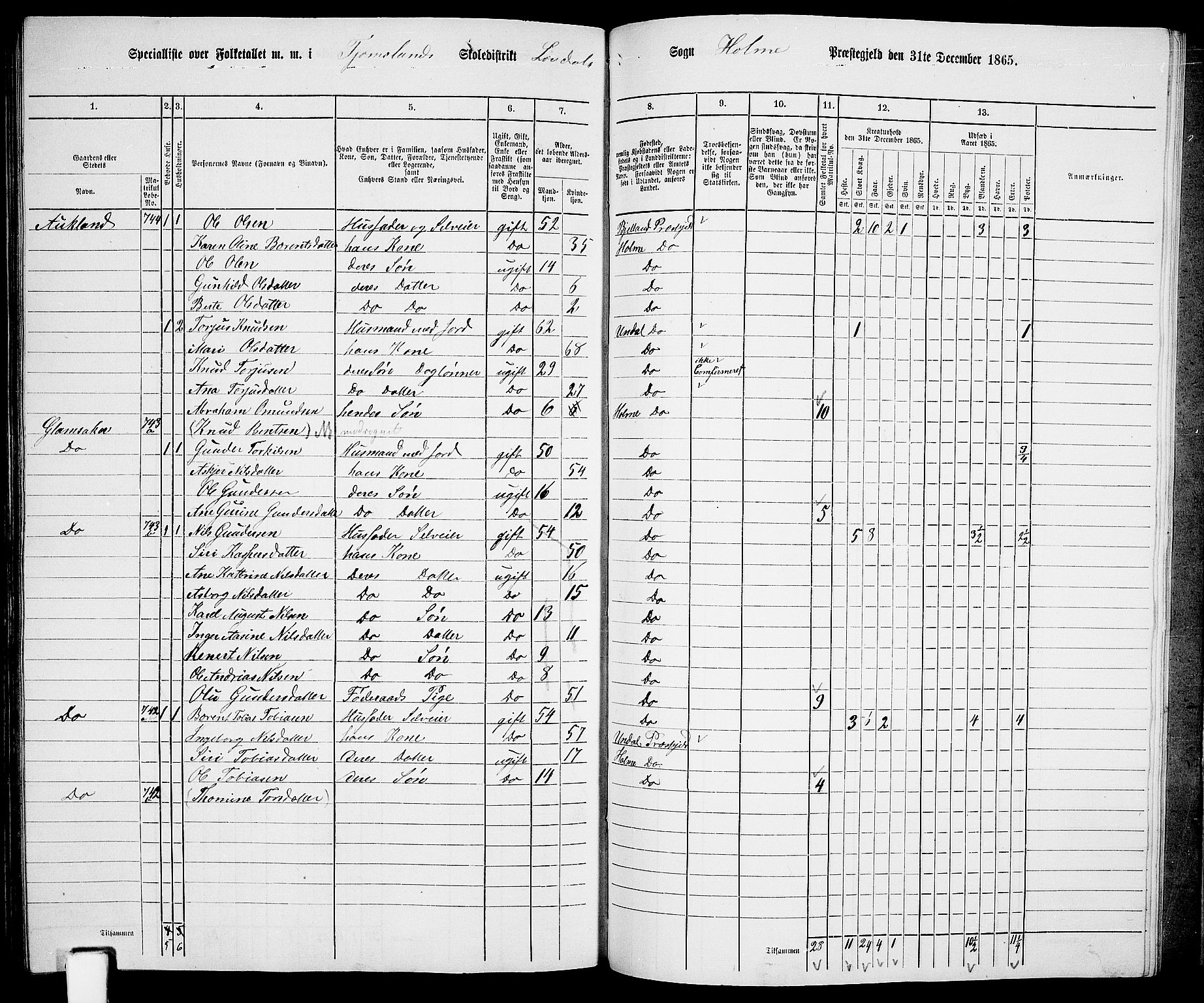 RA, 1865 census for Holum, 1865, p. 157