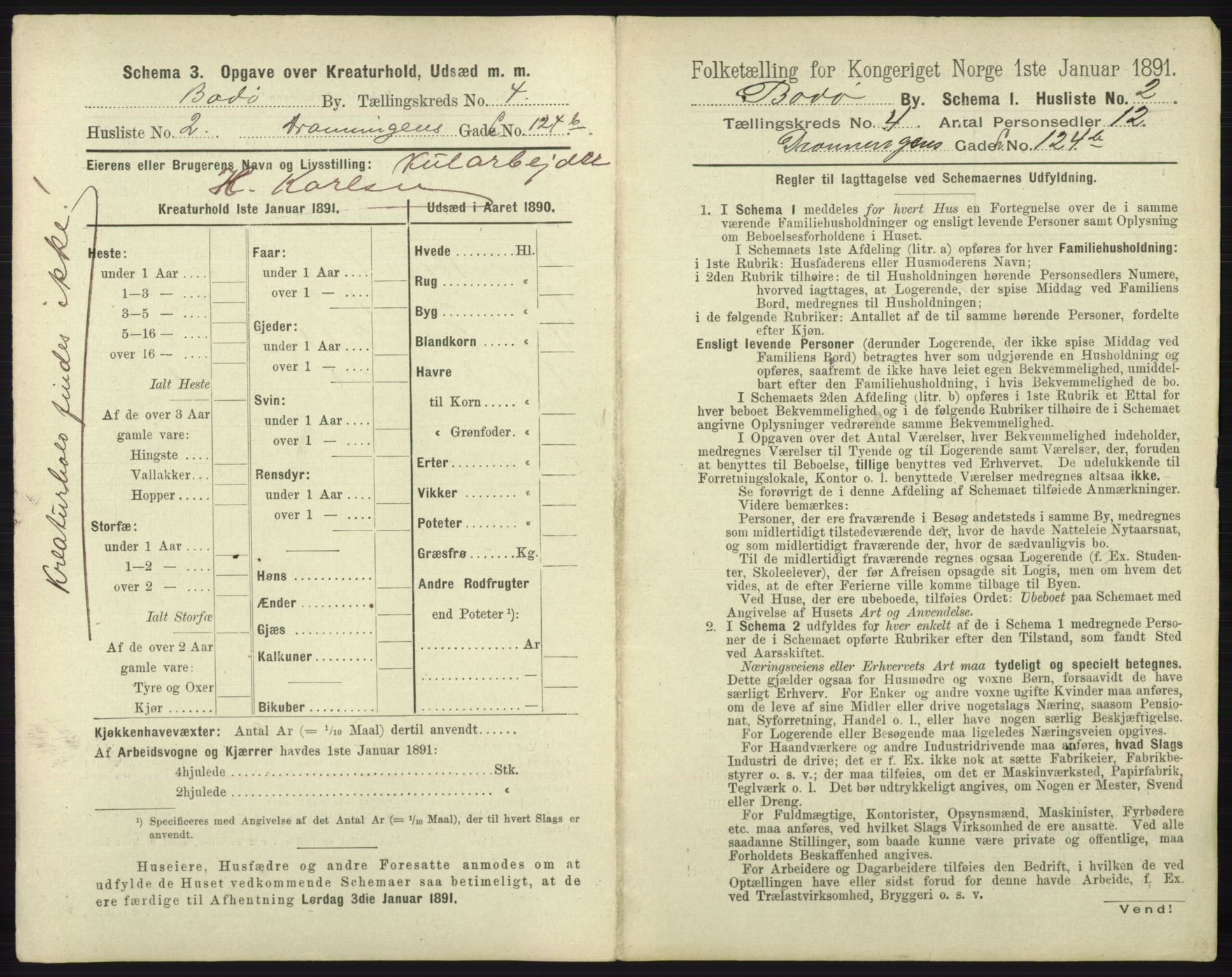 RA, 1891 census for 1804 Bodø, 1891, p. 2891