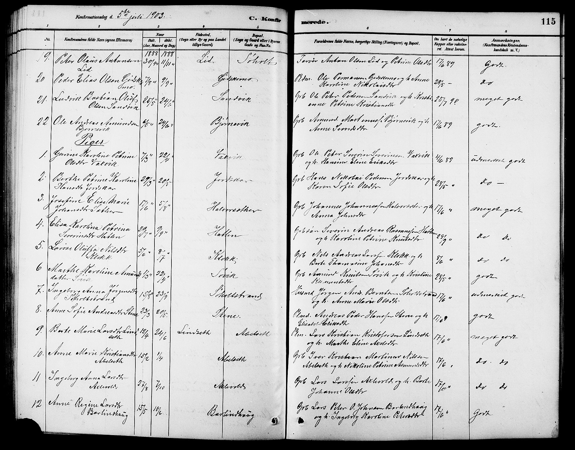 Ministerialprotokoller, klokkerbøker og fødselsregistre - Møre og Romsdal, AV/SAT-A-1454/522/L0327: Parish register (copy) no. 522C06, 1890-1915, p. 115