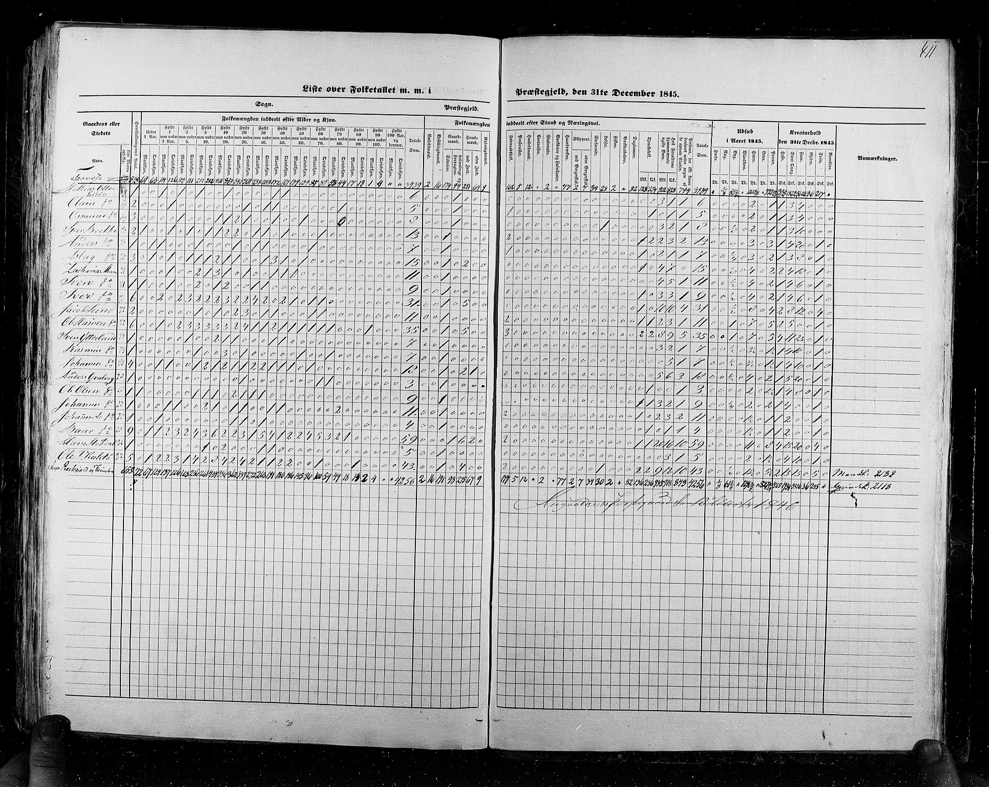 RA, Census 1845, vol. 6: Lister og Mandal amt og Stavanger amt, 1845, p. 411