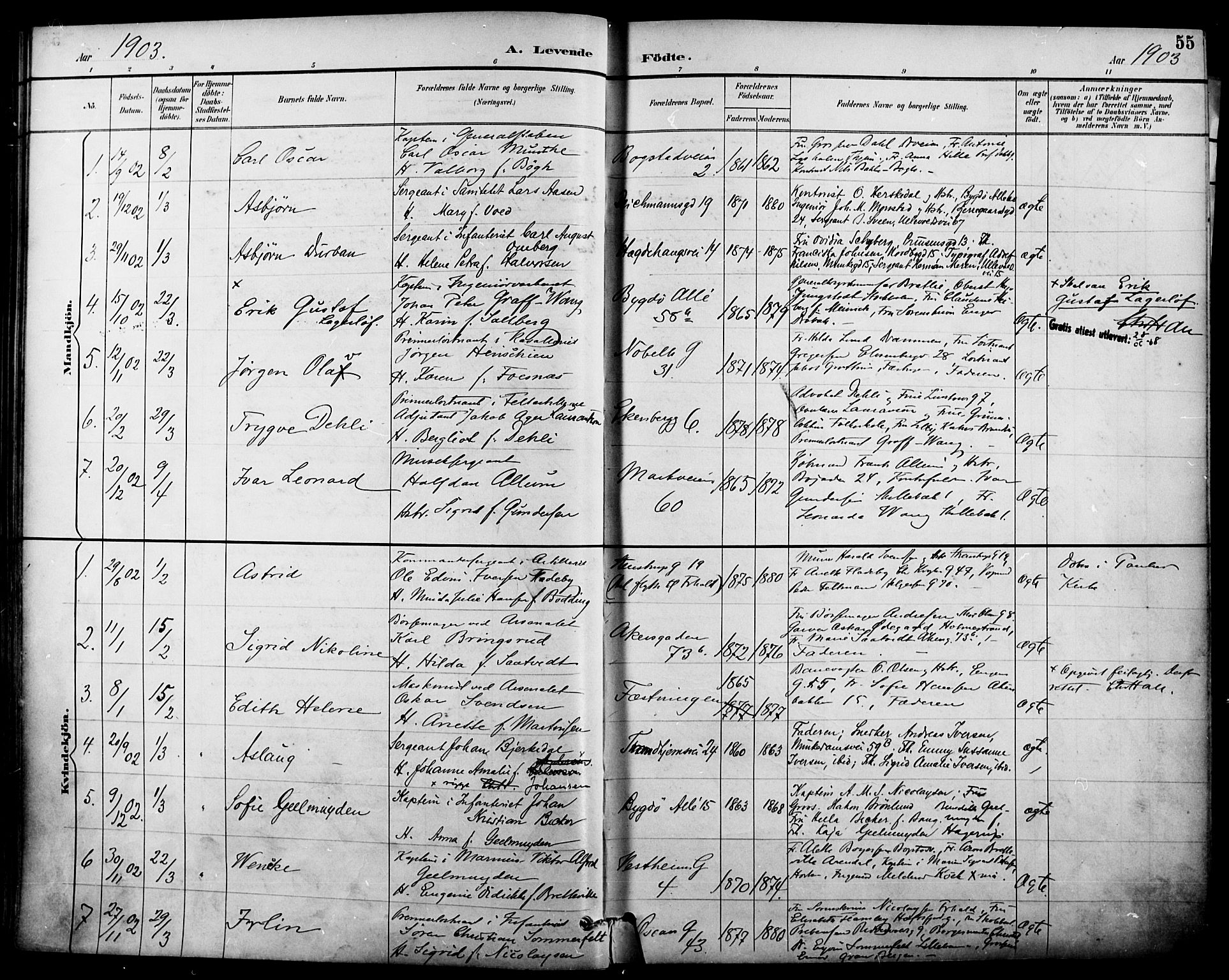 Garnisonsmenigheten Kirkebøker, SAO/A-10846/F/Fa/L0013: Parish register (official) no. 13, 1894-1904, p. 55