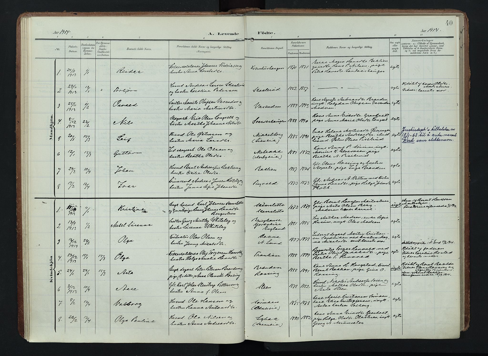 Søndre Land prestekontor, SAH/PREST-122/K/L0005: Parish register (official) no. 5, 1905-1914, p. 40