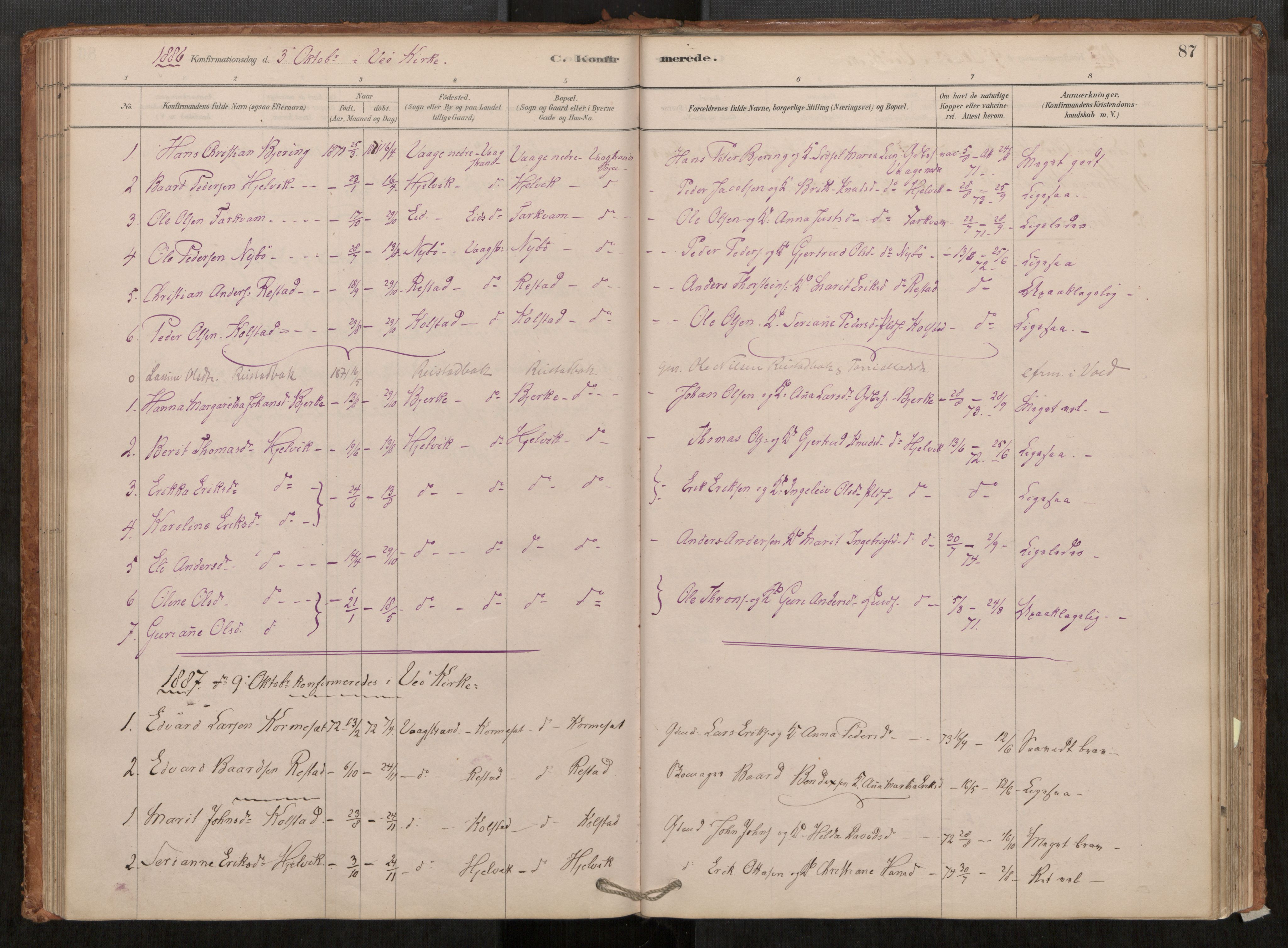 Ministerialprotokoller, klokkerbøker og fødselsregistre - Møre og Romsdal, AV/SAT-A-1454/550/L0621: Parish register (official) no. 550A01, 1878-1915, p. 87