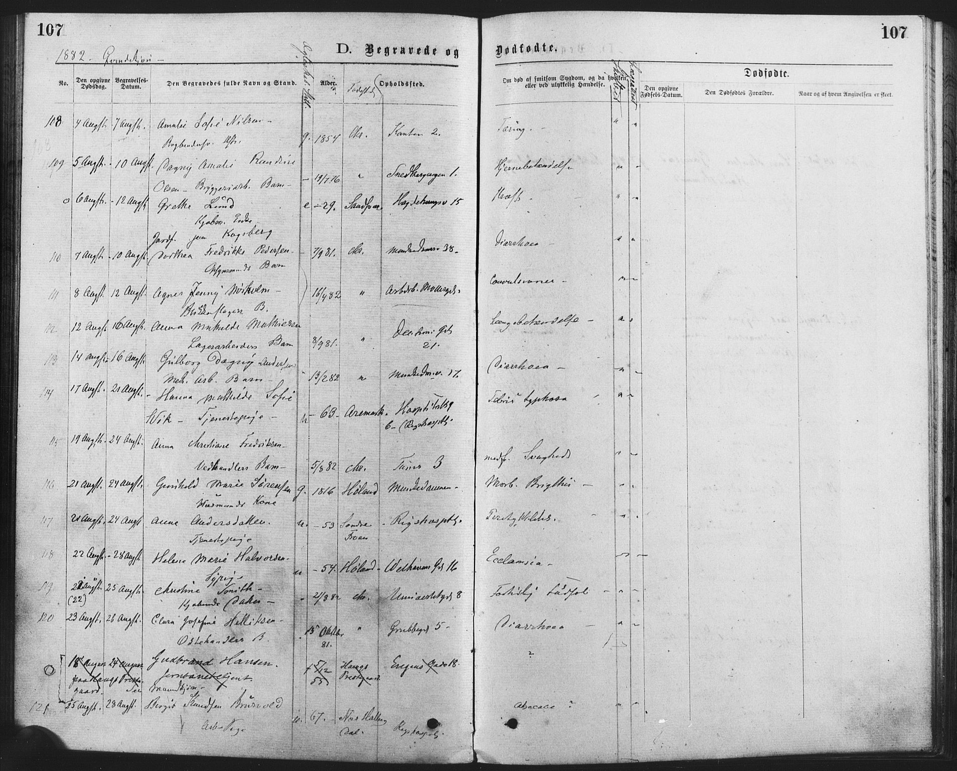 Trefoldighet prestekontor Kirkebøker, SAO/A-10882/F/Fd/L0002: Parish register (official) no. IV 2, 1877-1885, p. 107