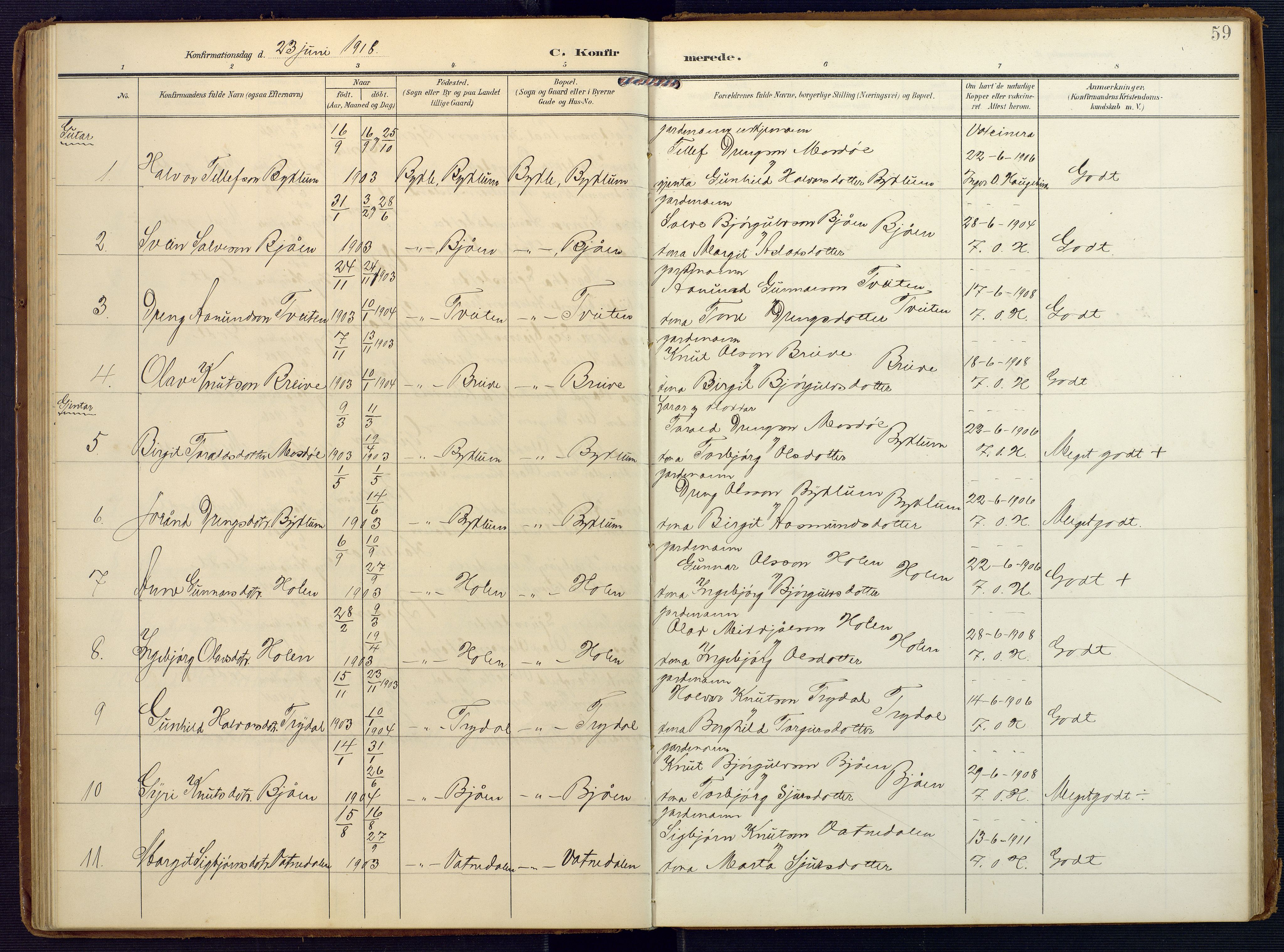 Valle sokneprestkontor, SAK/1111-0044/F/Fa/Faa/L0002: Parish register (official) no. A 2, 1907-1919, p. 59
